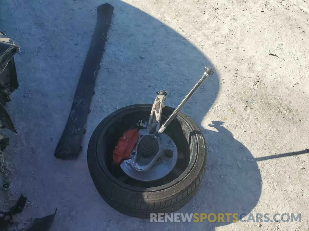 12 fotografías del automóvil dañado 7SAYGDEF8PF921402 TESLA MODEL Y 2023