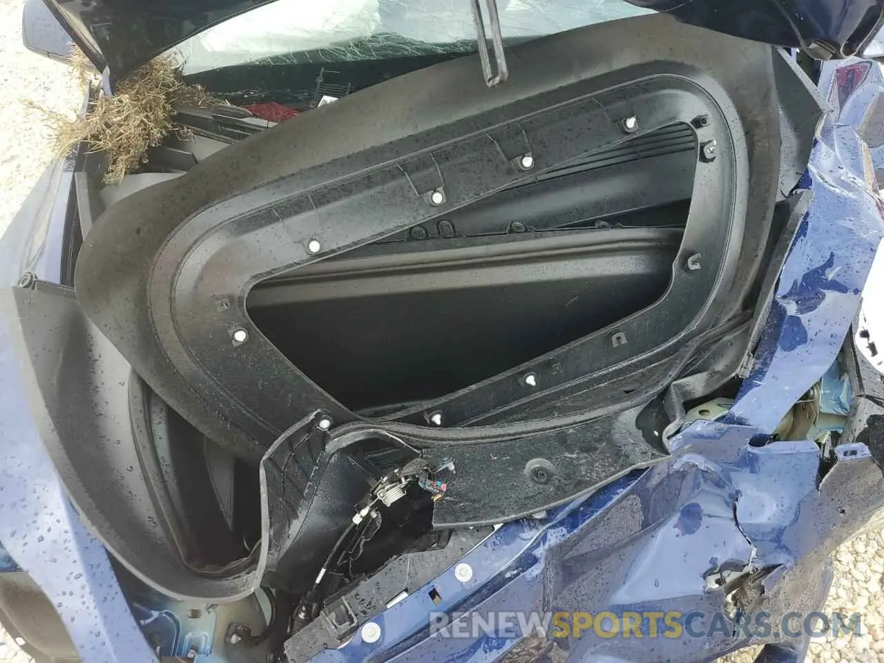 11 fotografías del automóvil dañado 7SAYGDEF9PF911879 TESLA MODEL Y 2023
