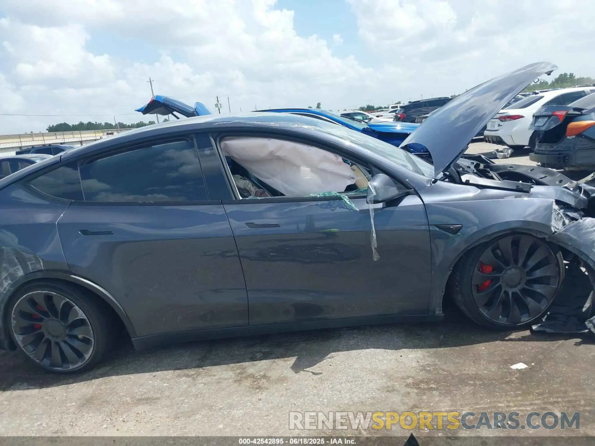 12 fotografías del automóvil dañado 7SAYGDEF9PF940492 TESLA MODEL Y 2023