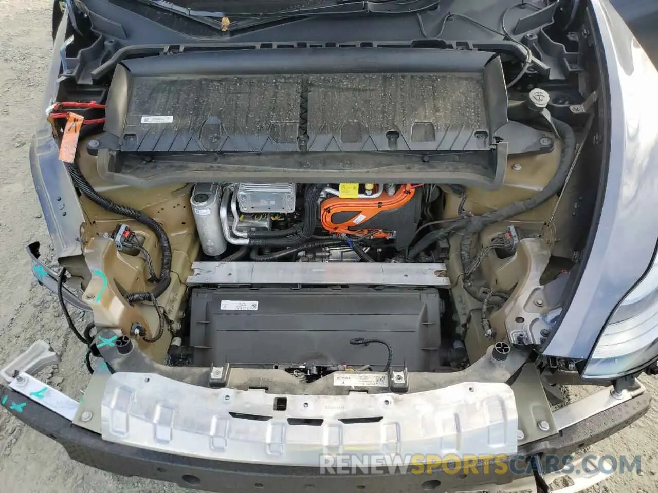 12 fotografías del automóvil dañado 7SAYGDEFXPF850123 TESLA MODEL Y 2023