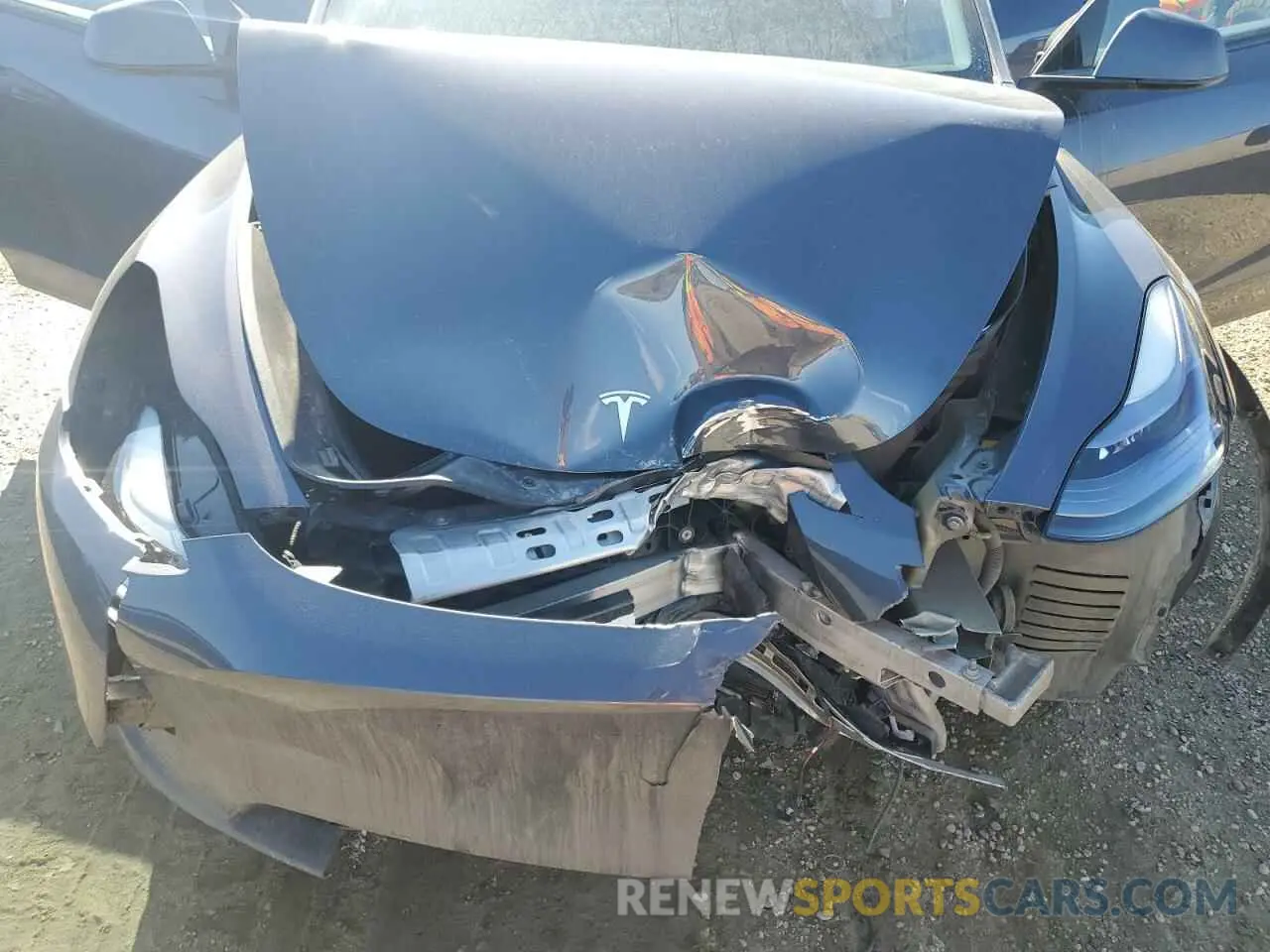 12 fotografías del automóvil dañado LRWYGDEE9PC266164 TESLA MODEL Y 2023
