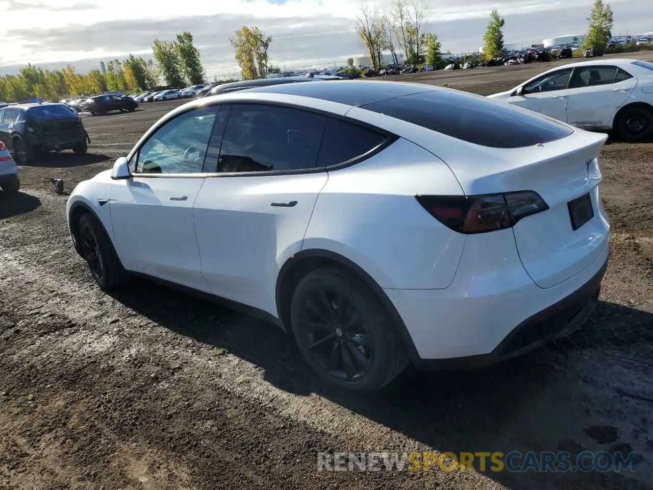 2 fotografías del automóvil dañado LRWYGDFD4PC939223 TESLA MODEL Y 2023