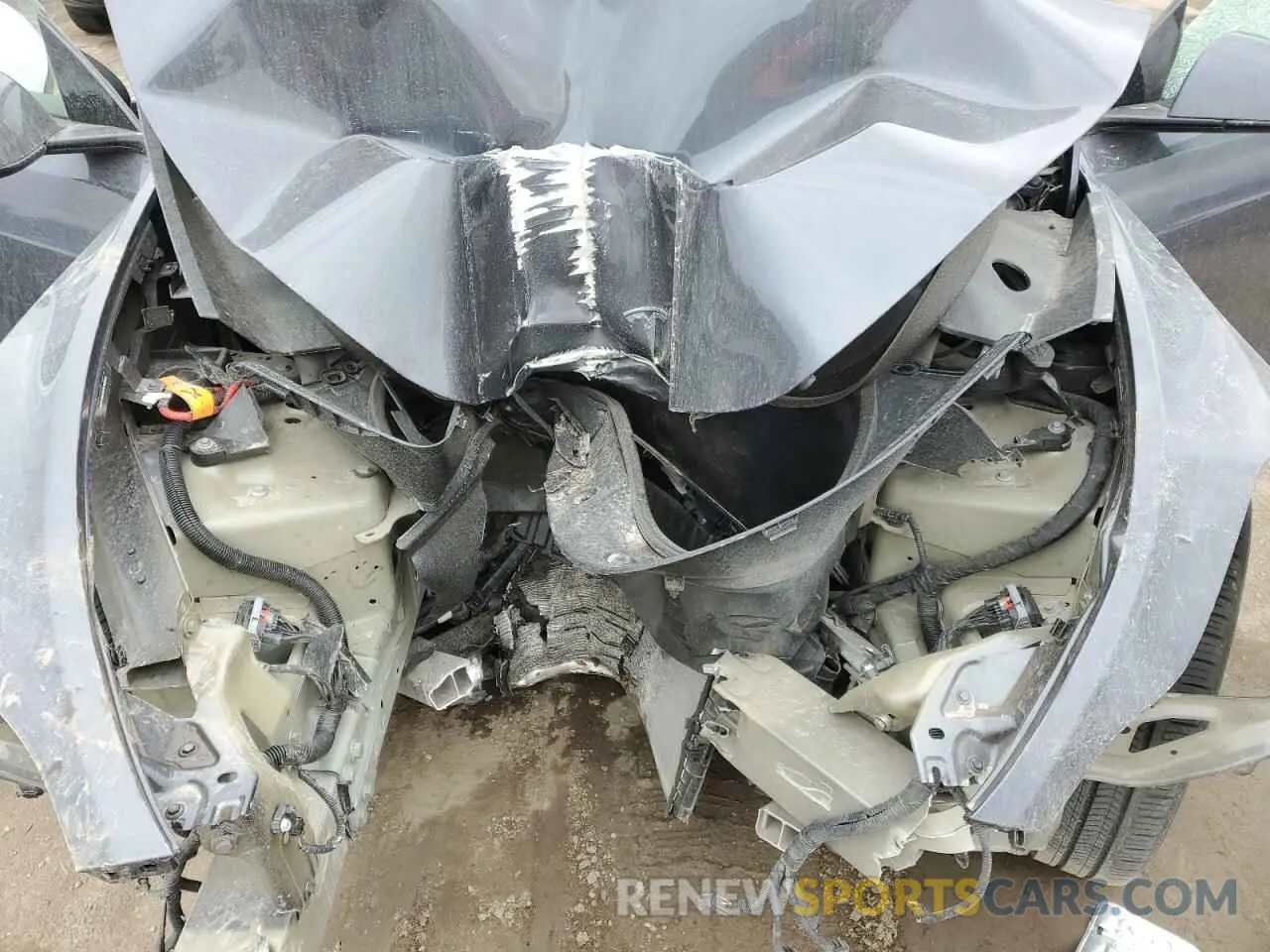 12 fotografías del automóvil dañado LRWYGDFD5PC164043 TESLA MODEL Y 2023