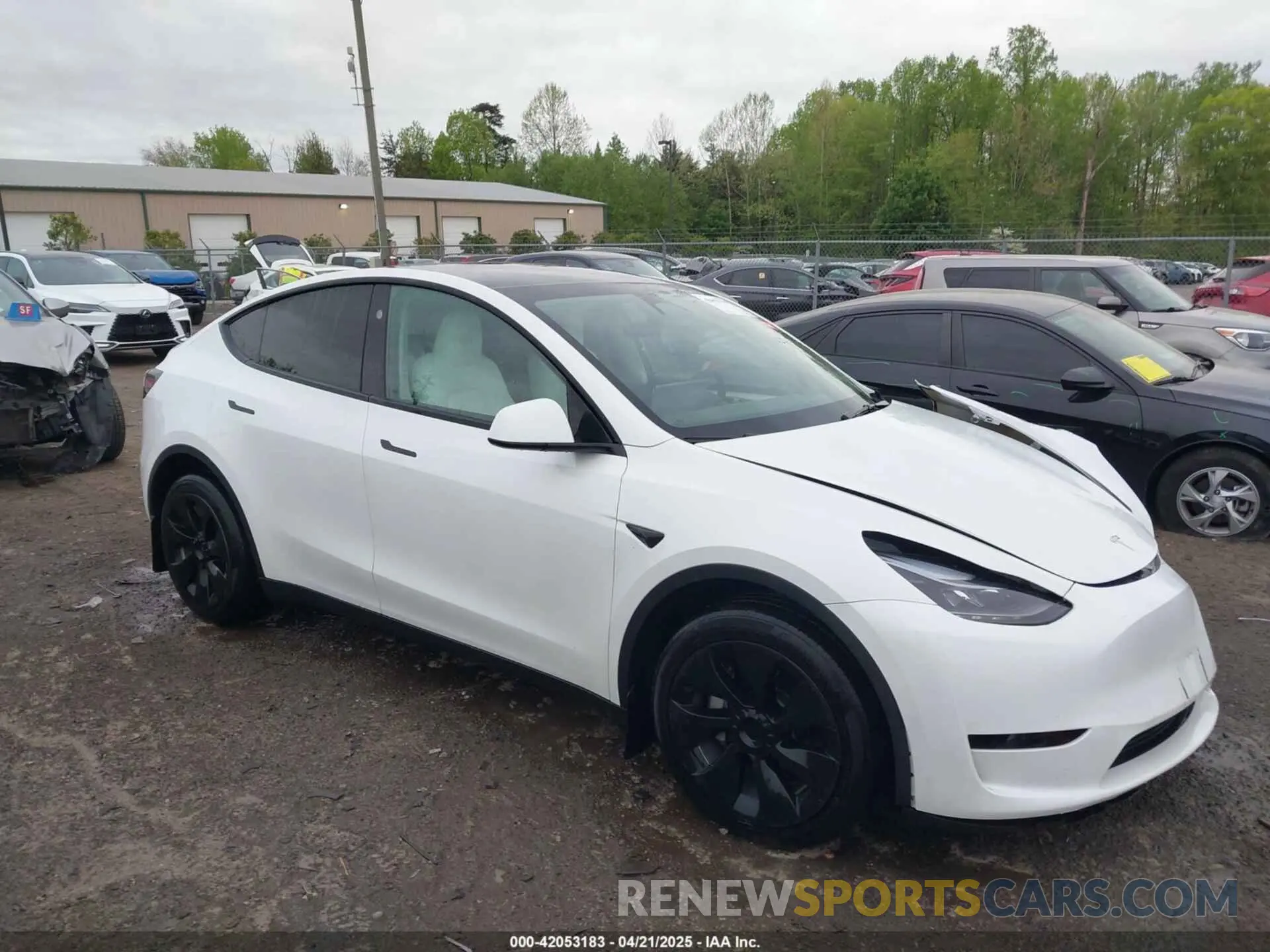 1 fotografías del automóvil dañado 7SAYGAEE2RF014315 TESLA MODEL Y 2024