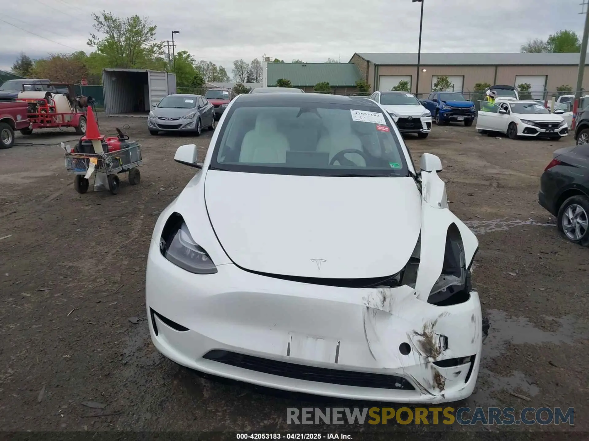 12 fotografías del automóvil dañado 7SAYGAEE2RF014315 TESLA MODEL Y 2024