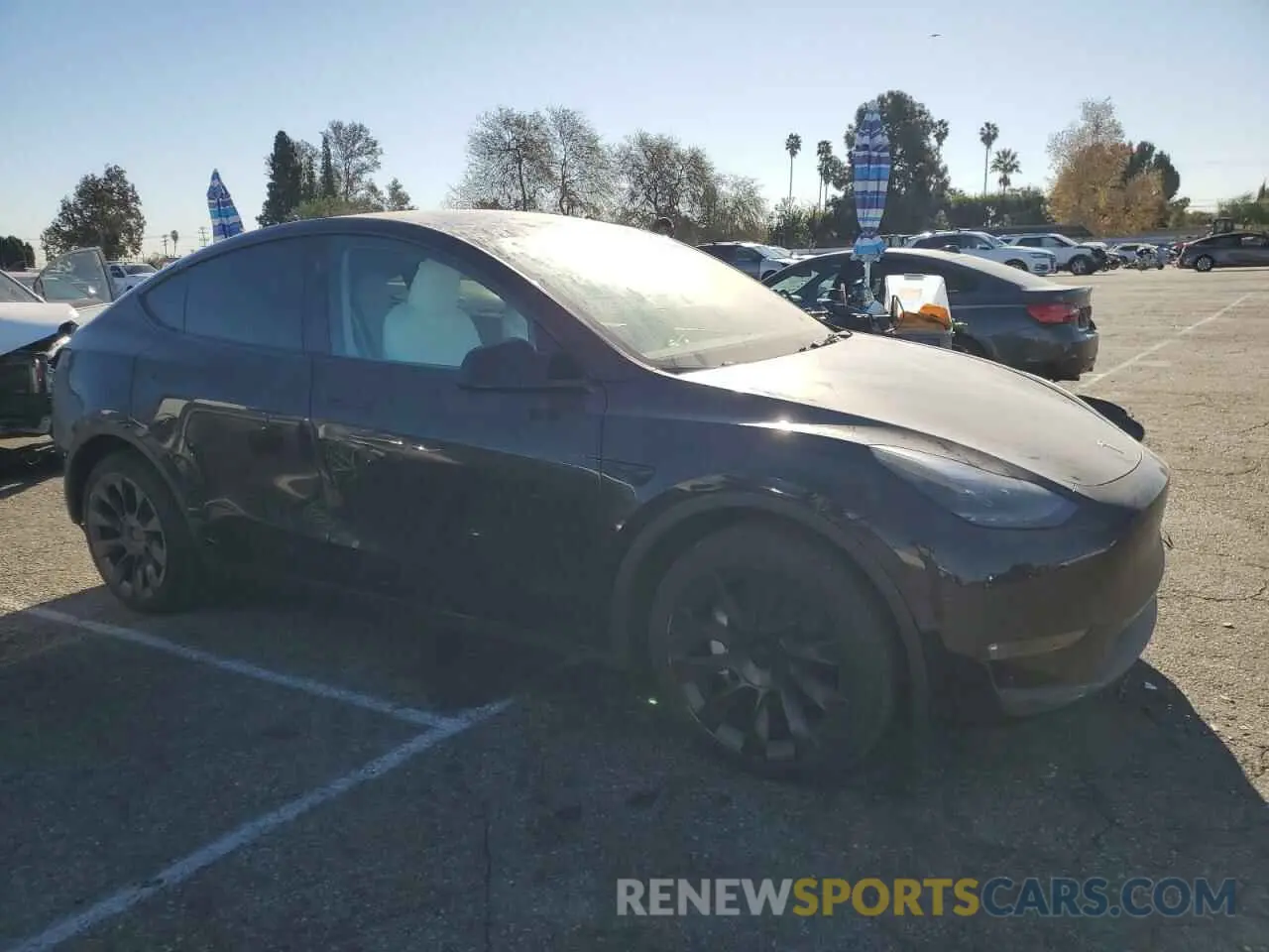 4 fotografías del automóvil dañado 7SAYGAEE2RF984326 TESLA MODEL Y 2024