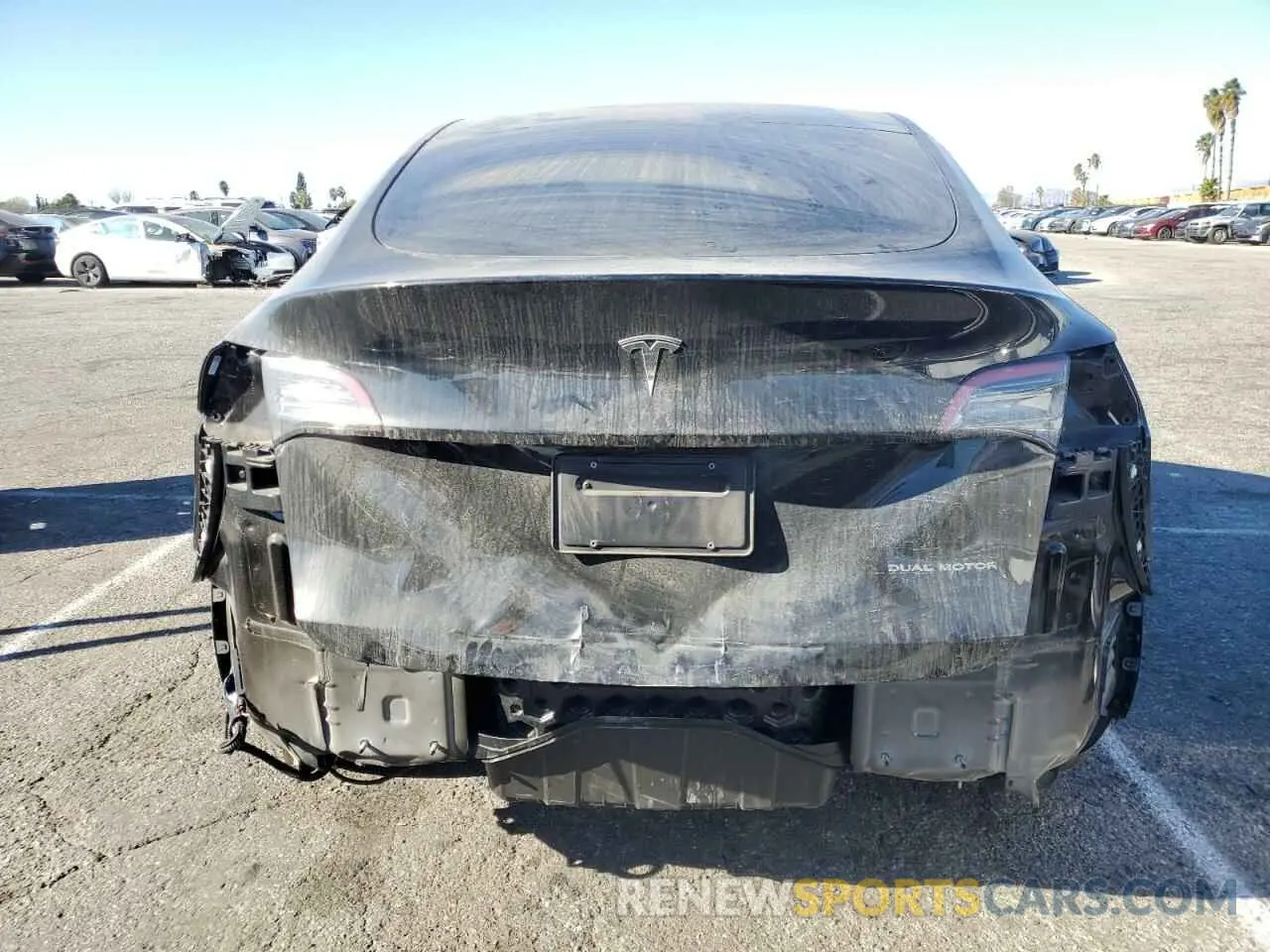 6 fotografías del automóvil dañado 7SAYGAEE2RF984326 TESLA MODEL Y 2024