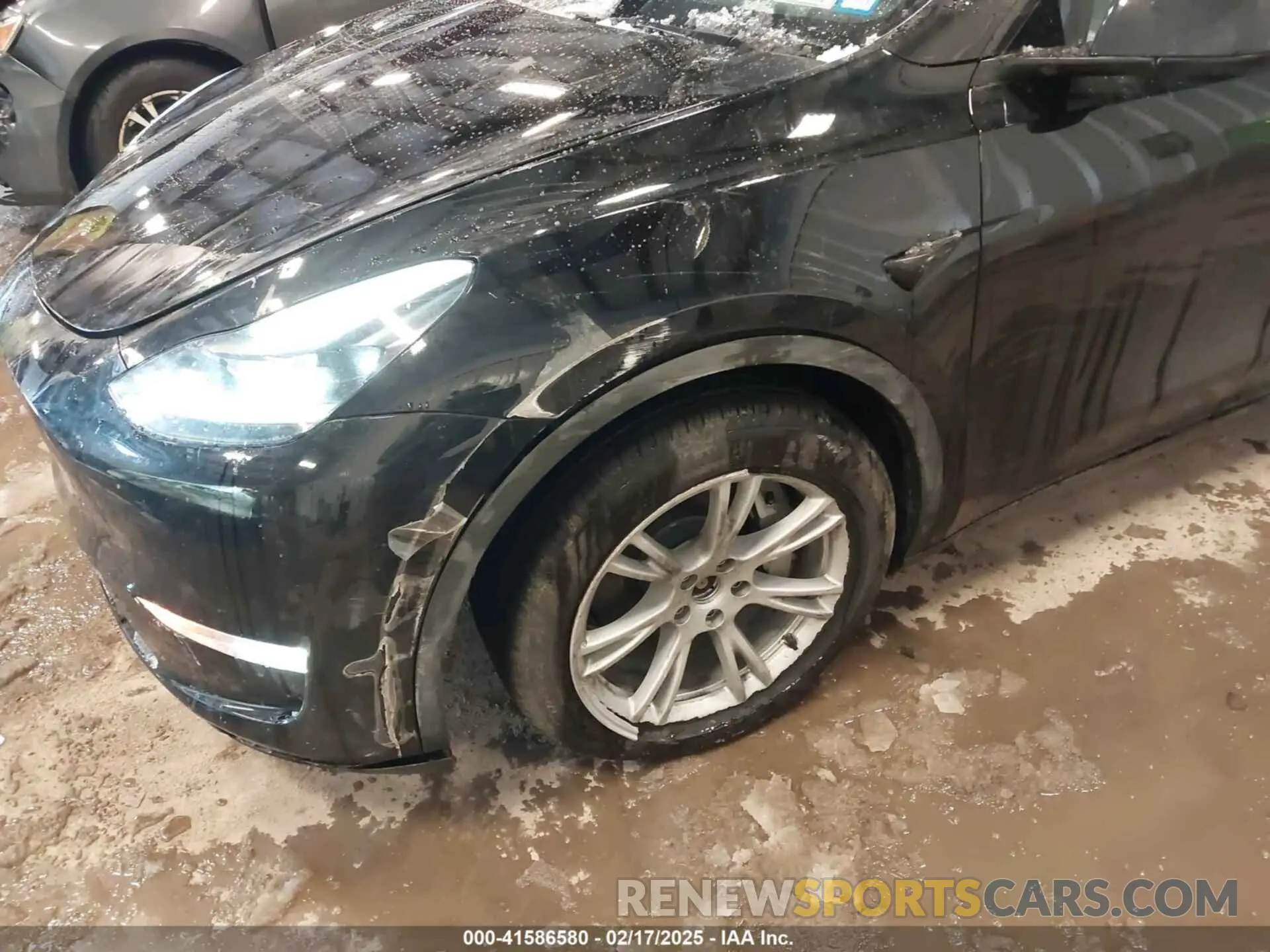 6 fotografías del automóvil dañado 7SAYGAEE3RF023721 TESLA MODEL Y 2024