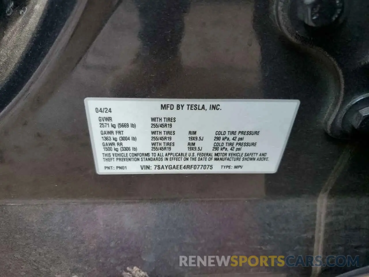 12 fotografías del automóvil dañado 7SAYGAEE4RF077075 TESLA MODEL Y 2024