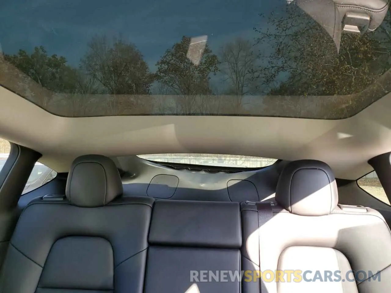 10 fotografías del automóvil dañado 7SAYGAEE5RF061273 TESLA MODEL Y 2024