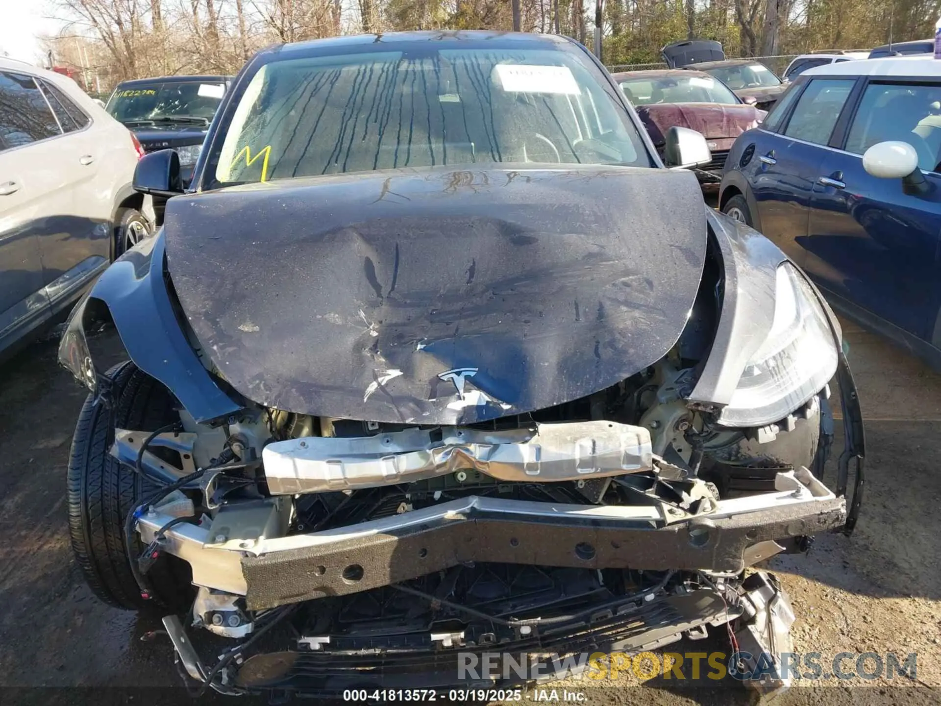 12 fotografías del automóvil dañado 7SAYGAEE5RF127224 TESLA MODEL Y 2024