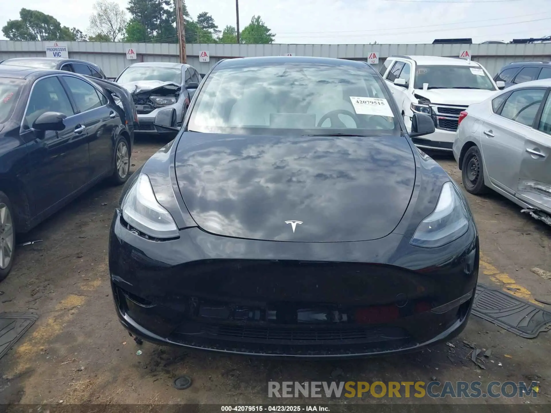 11 fotografías del automóvil dañado 7SAYGAEE5RF186418 TESLA MODEL Y 2024