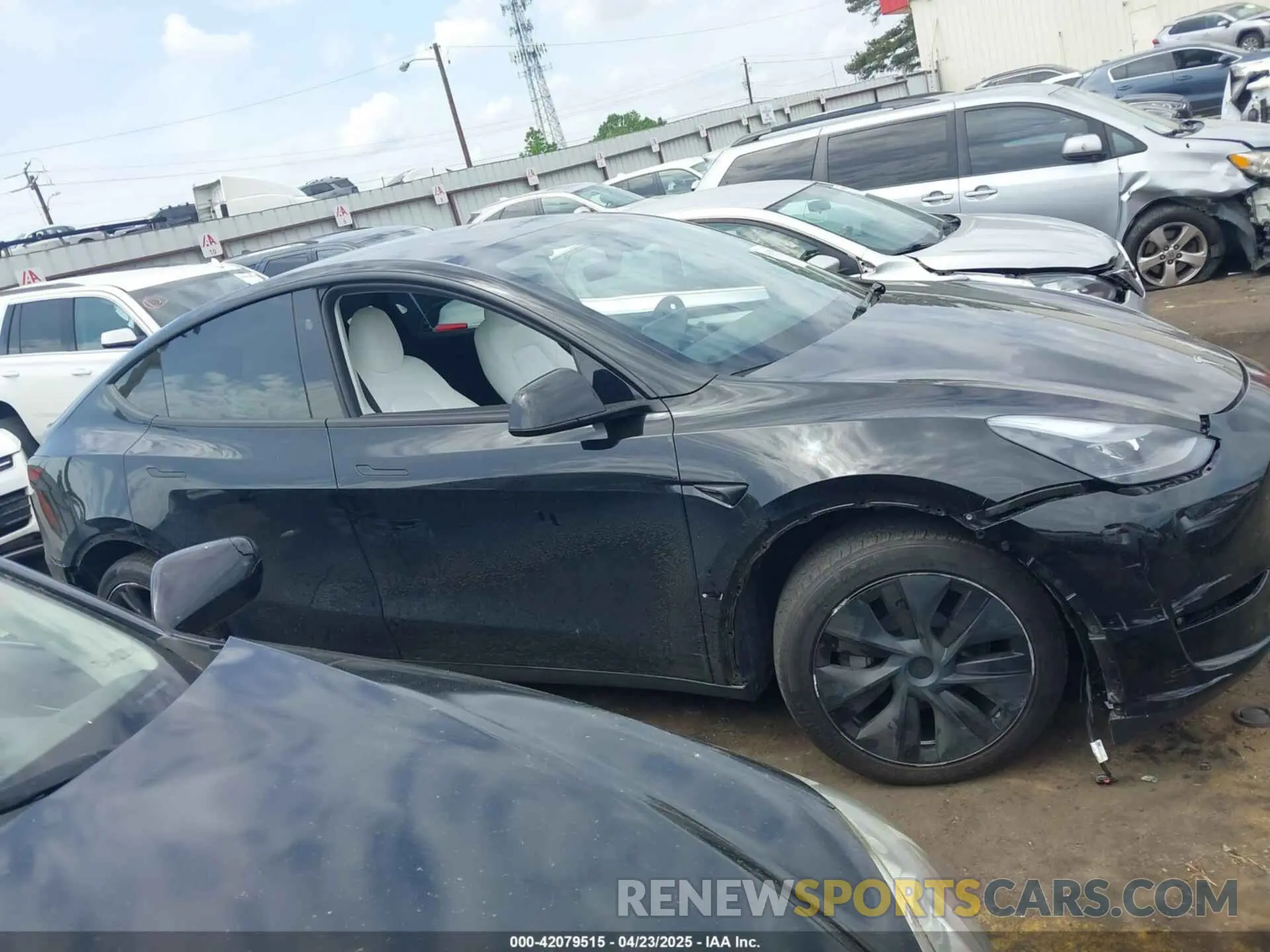 12 fotografías del automóvil dañado 7SAYGAEE5RF186418 TESLA MODEL Y 2024