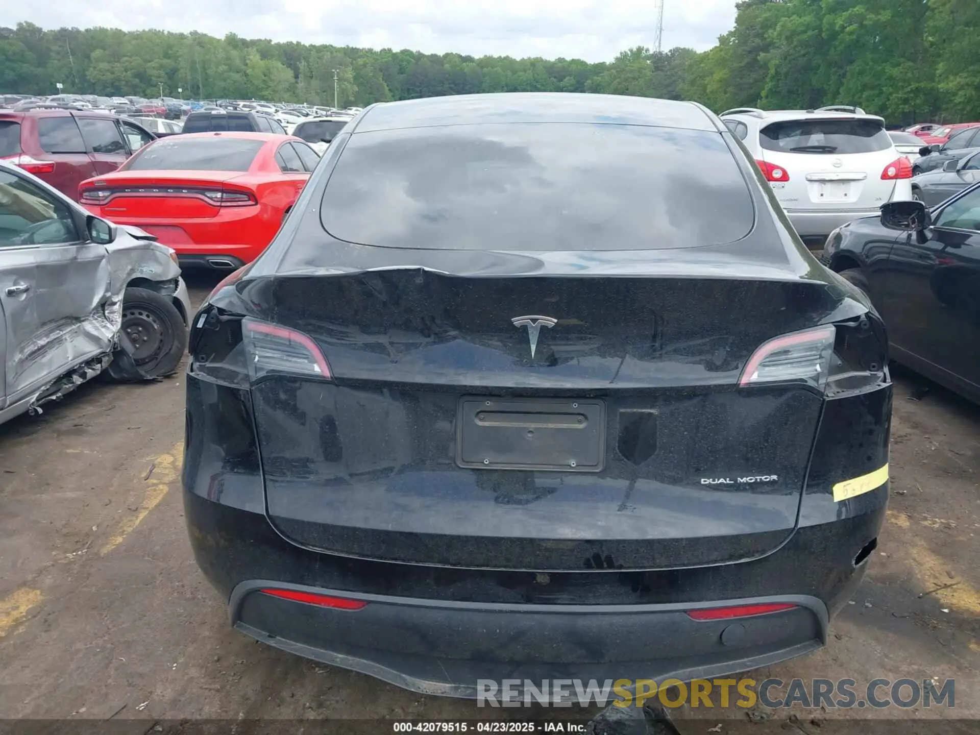 15 fotografías del automóvil dañado 7SAYGAEE5RF186418 TESLA MODEL Y 2024