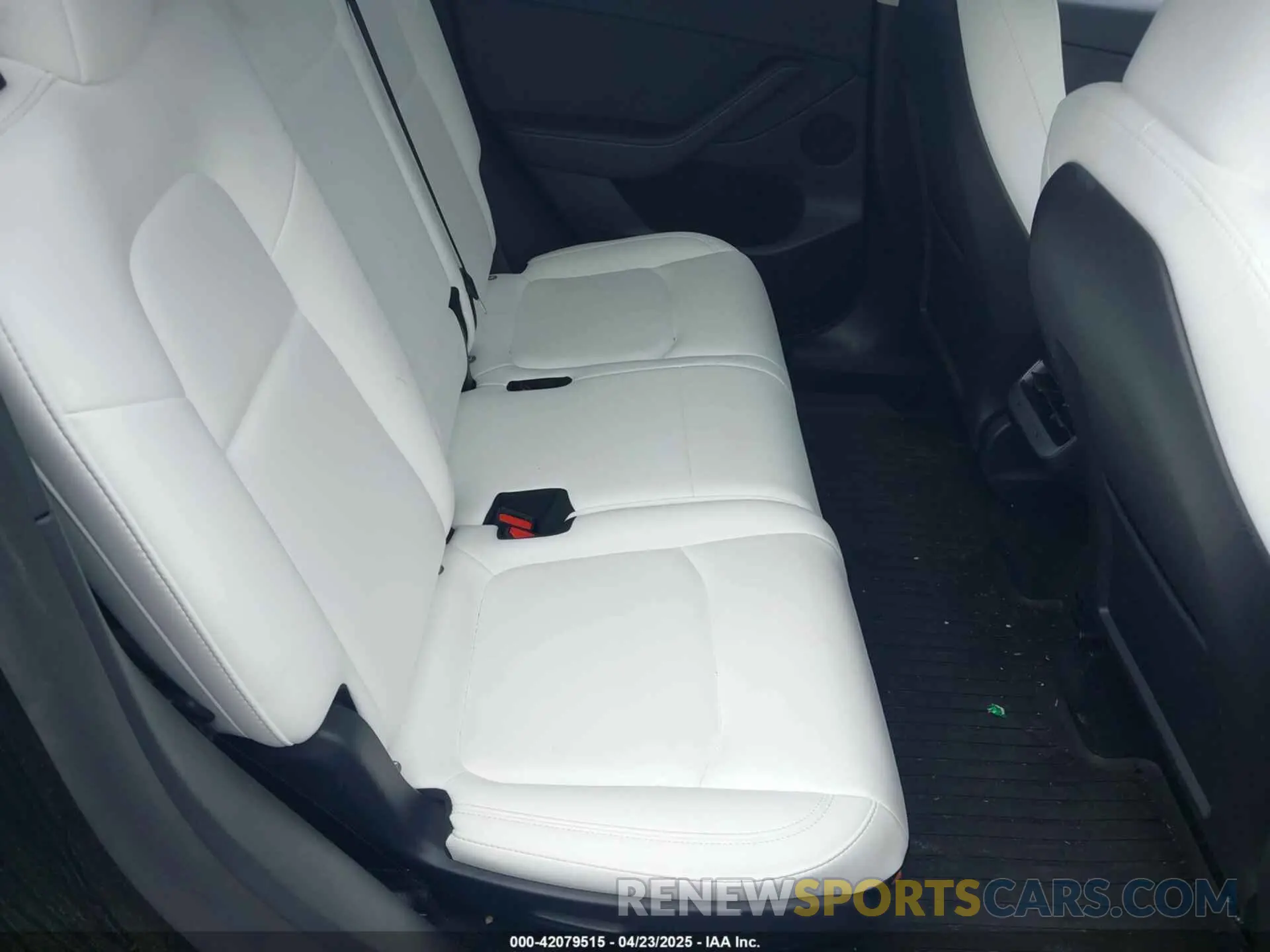 8 fotografías del automóvil dañado 7SAYGAEE5RF186418 TESLA MODEL Y 2024
