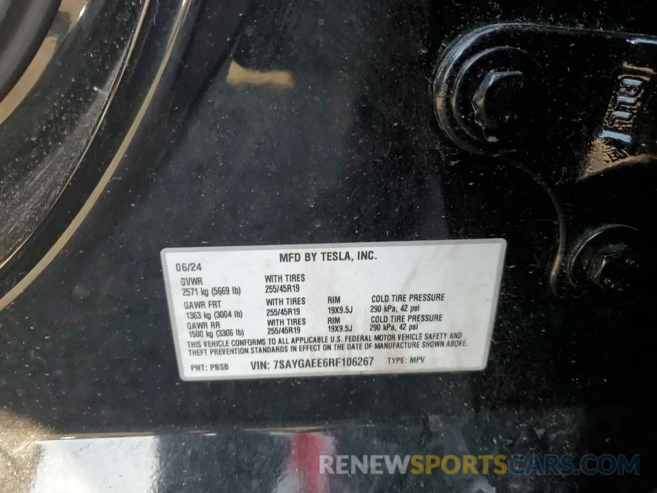13 fotografías del automóvil dañado 7SAYGAEE6RF106267 TESLA MODEL Y 2024