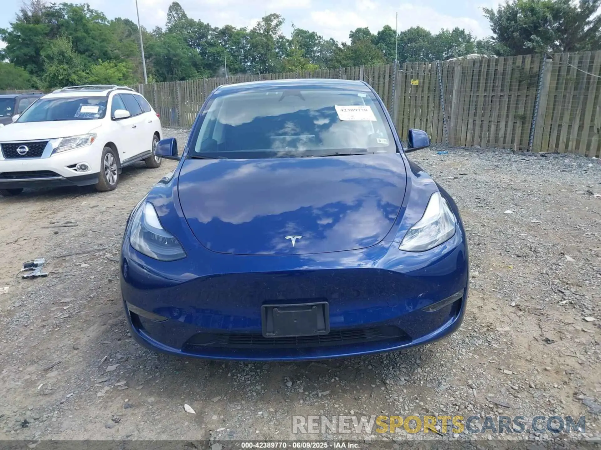 12 fotografías del automóvil dañado 7SAYGAEE7RF156787 TESLA MODEL Y 2024
