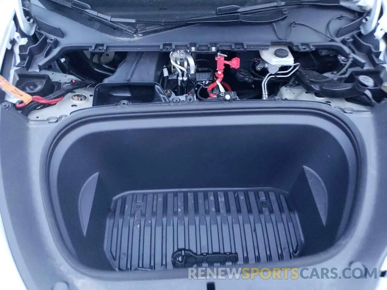 12 fotografías del automóvil dañado 7SAYGAEE9RF099721 TESLA MODEL Y 2024