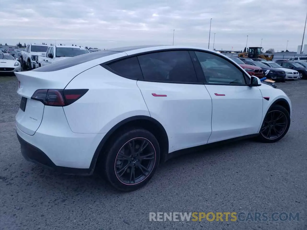 3 fotografías del automóvil dañado 7SAYGAEE9RF099721 TESLA MODEL Y 2024