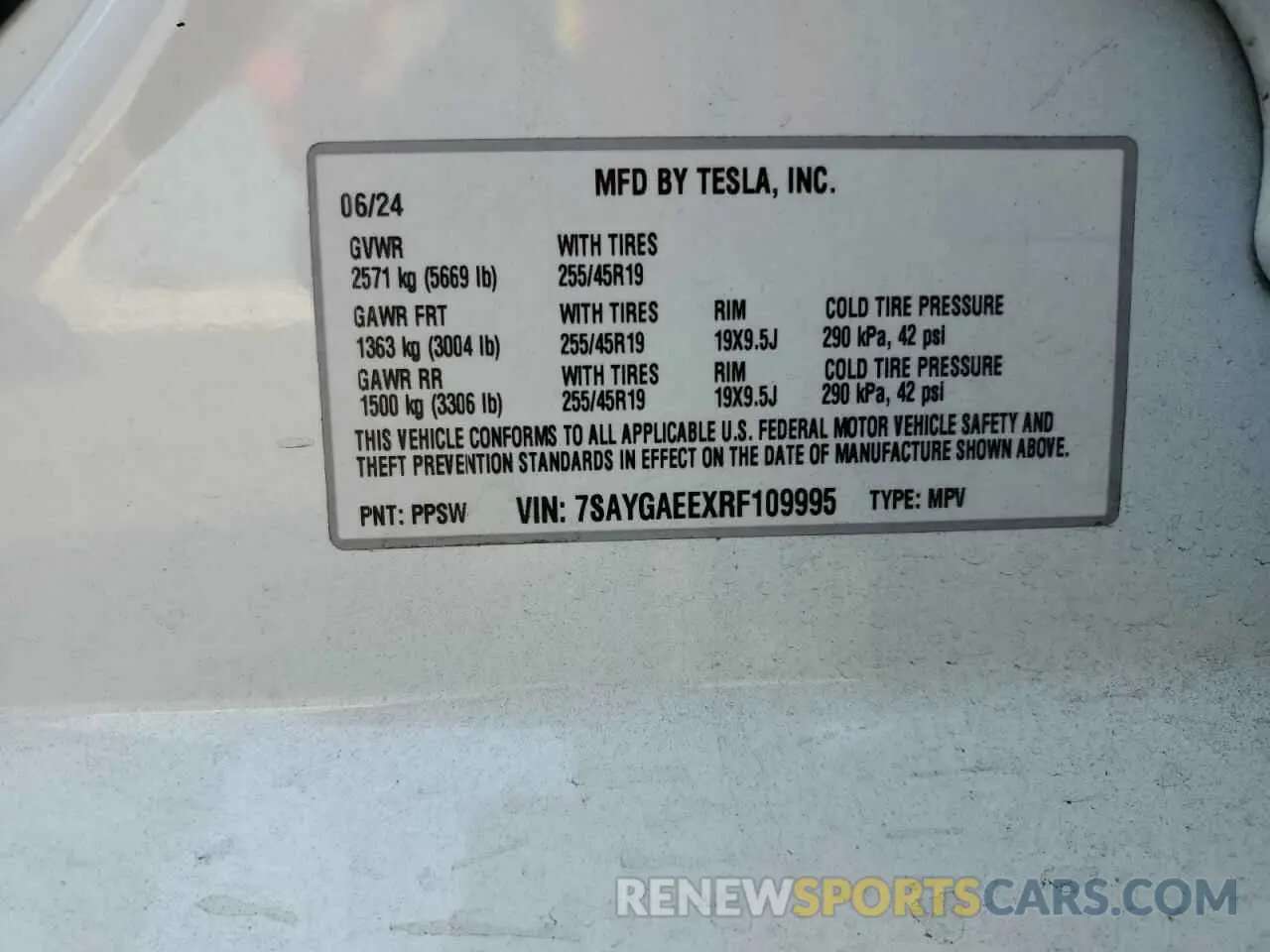 13 fotografías del automóvil dañado 7SAYGAEEXRF109995 TESLA MODEL Y 2024