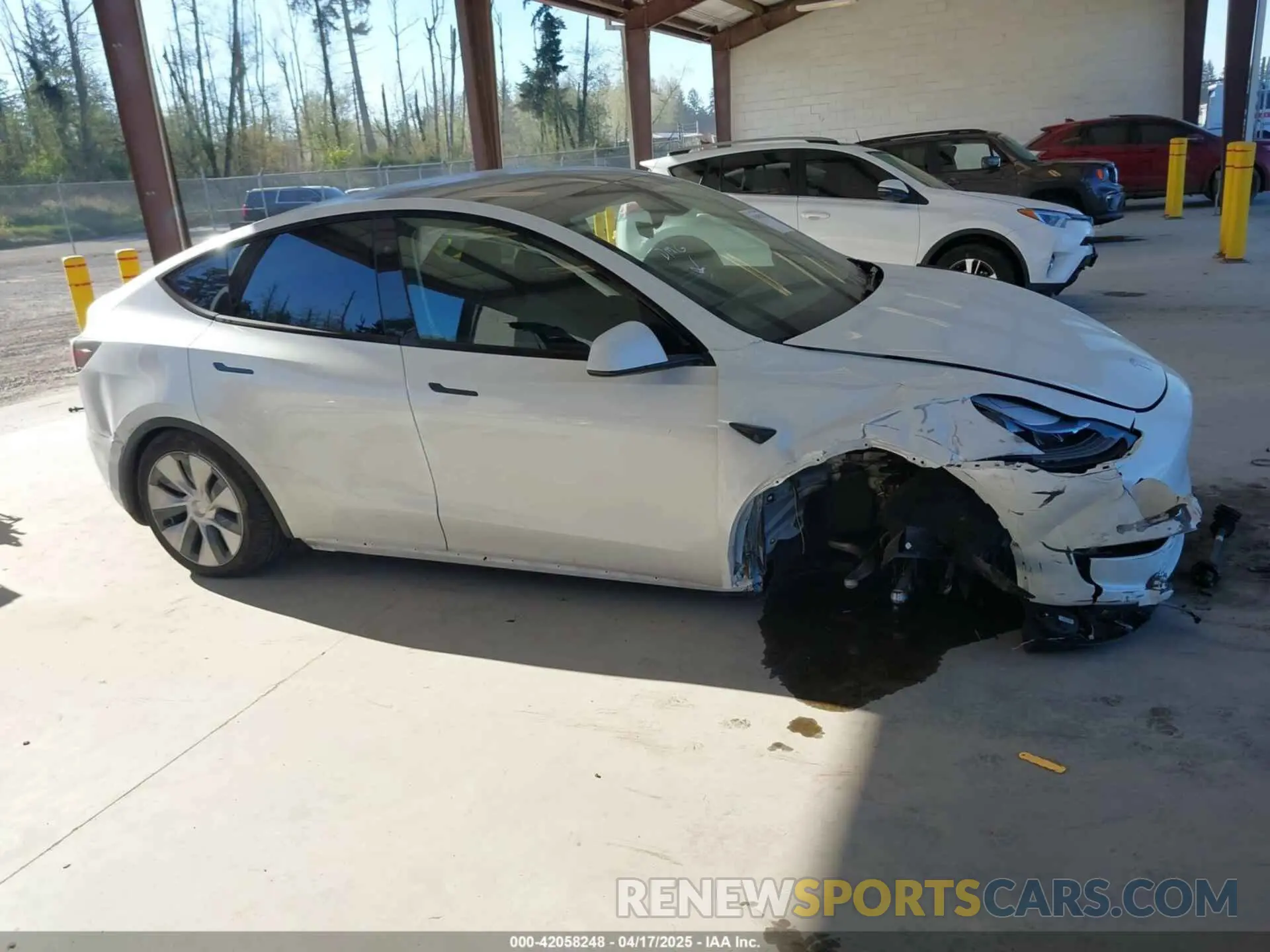 13 fotografías del automóvil dañado 7SAYGAEEXRF988561 TESLA MODEL Y 2024
