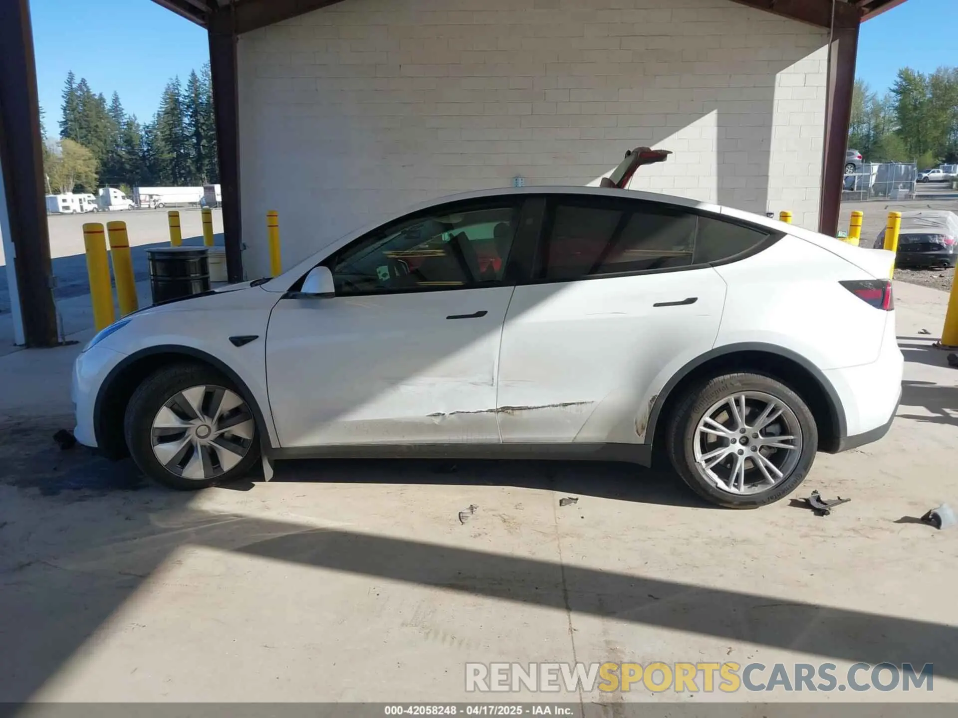 14 fotografías del automóvil dañado 7SAYGAEEXRF988561 TESLA MODEL Y 2024