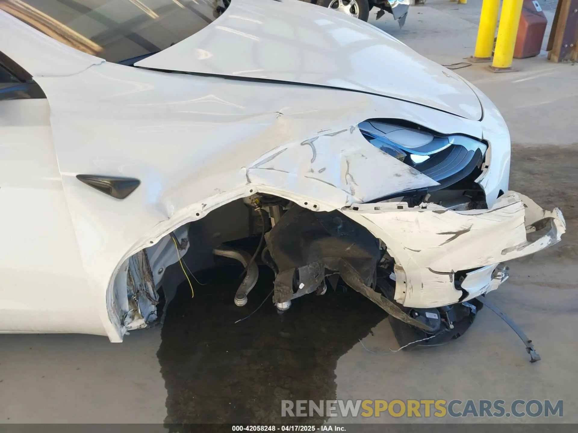 6 fotografías del automóvil dañado 7SAYGAEEXRF988561 TESLA MODEL Y 2024