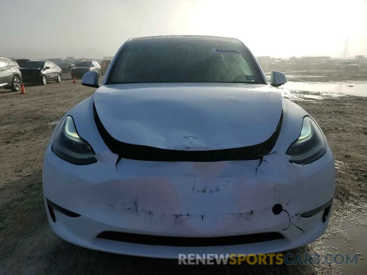 5 fotografías del automóvil dañado 7SAYGDED0RA311315 TESLA MODEL Y 2024