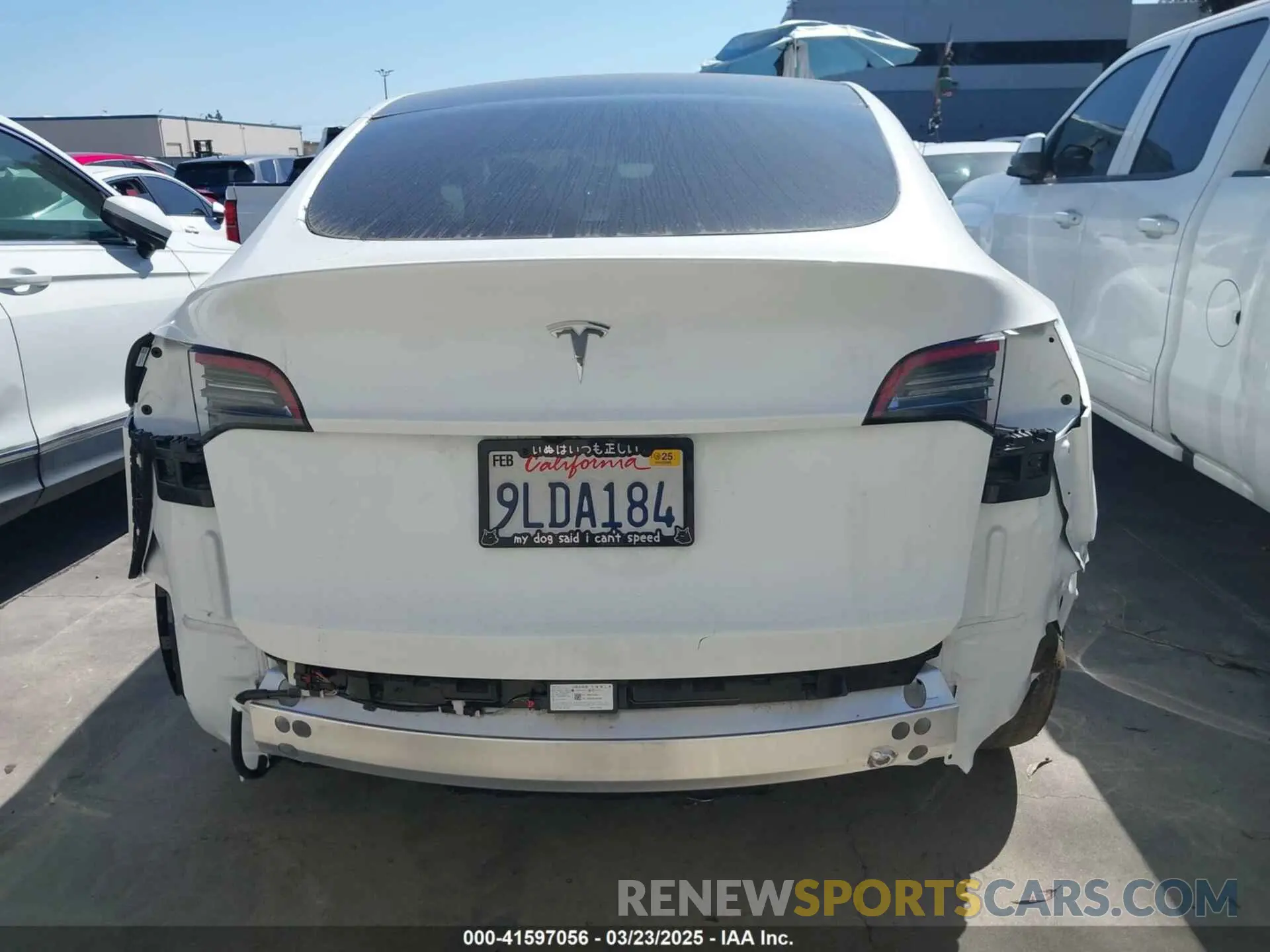 16 fotografías del automóvil dañado 7SAYGDED2RF017448 TESLA MODEL Y 2024