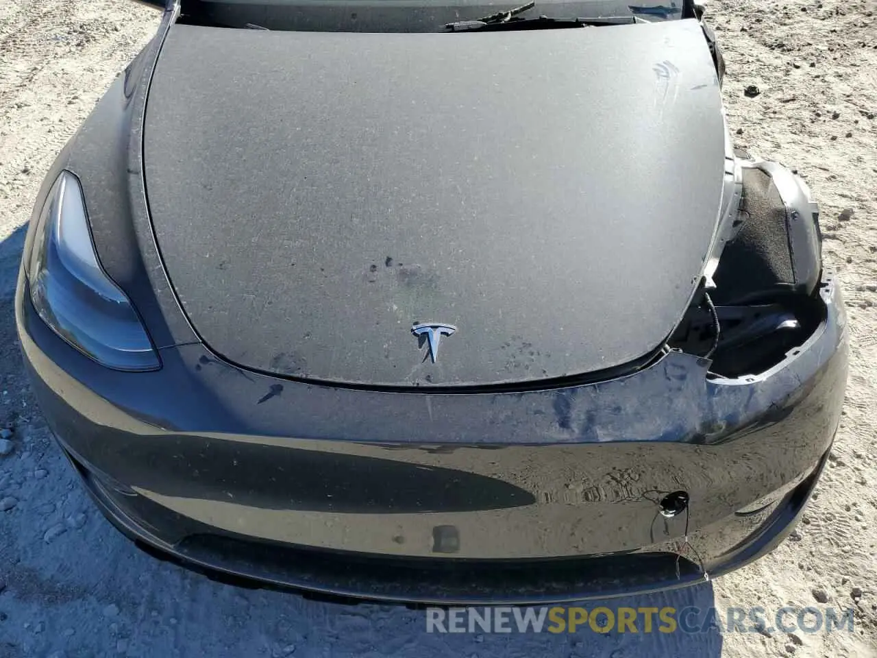 12 fotografías del automóvil dañado 7SAYGDED2RF018759 TESLA MODEL Y 2024