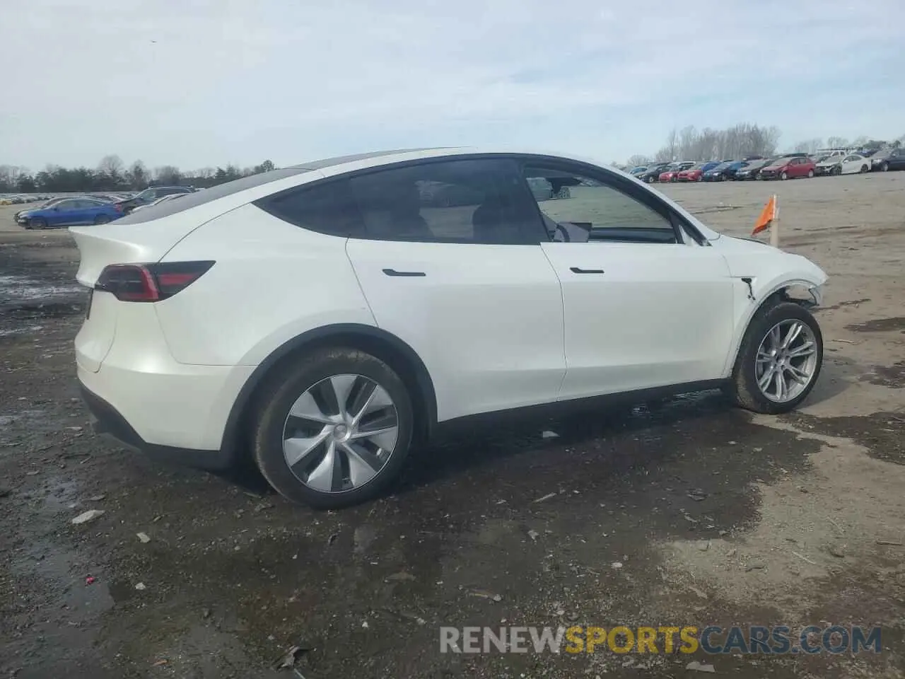 3 fotografías del automóvil dañado 7SAYGDED2RF042236 TESLA MODEL Y 2024