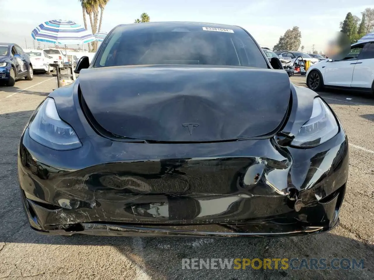 5 fotografías del automóvil dañado 7SAYGDED2RF045993 TESLA MODEL Y 2024