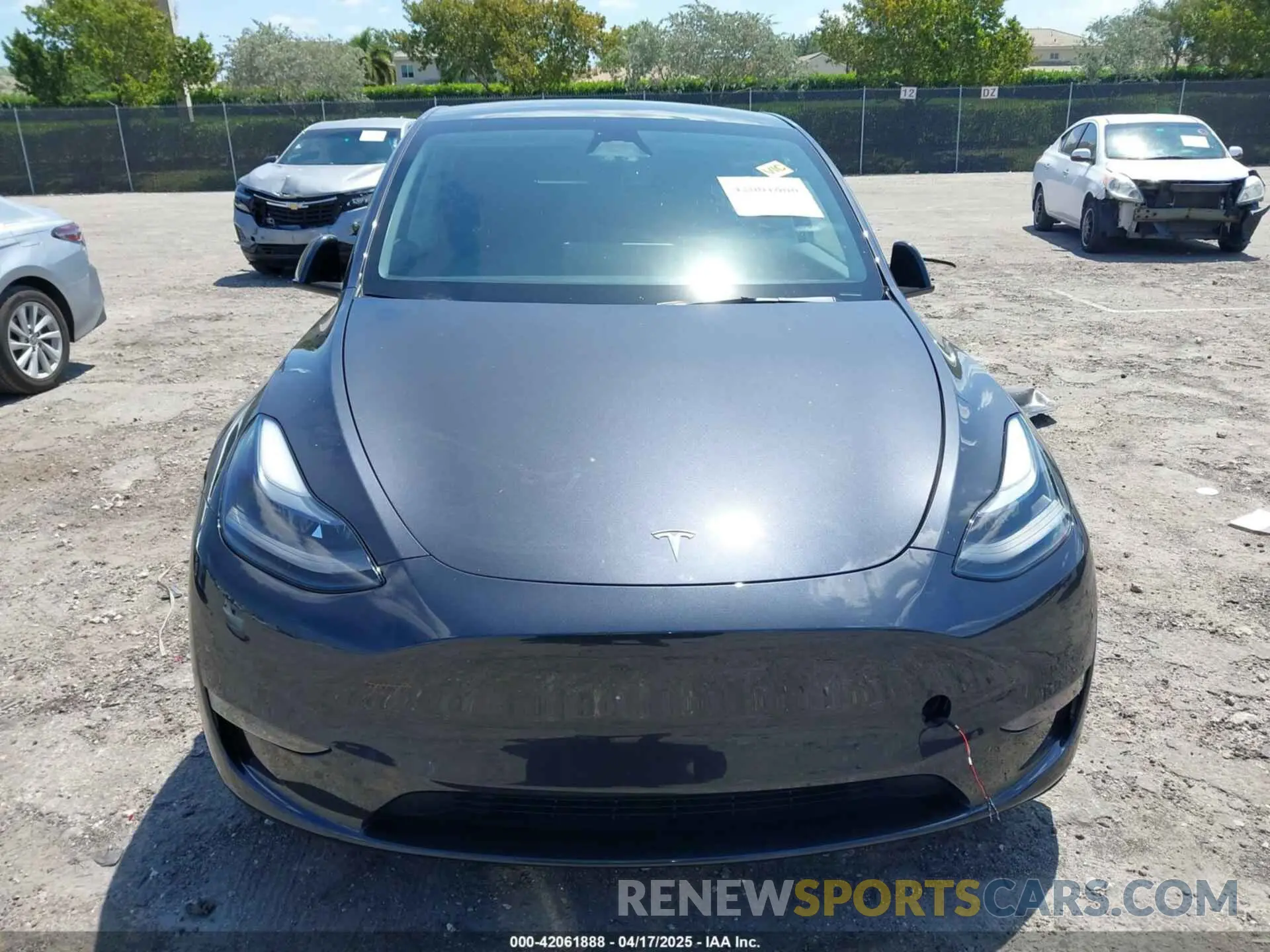 11 fotografías del automóvil dañado 7SAYGDED3RF019063 TESLA MODEL Y 2024
