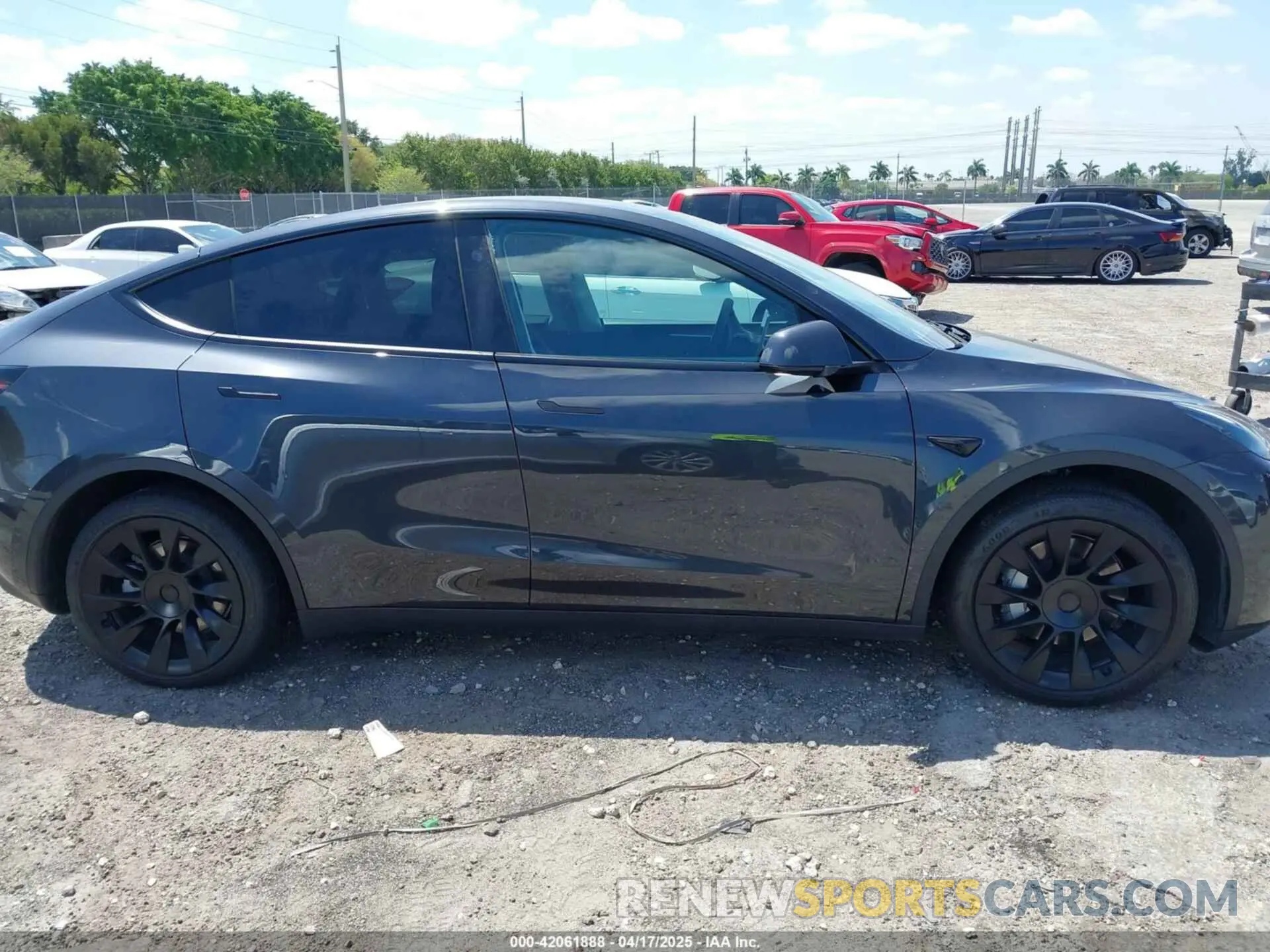 12 fotografías del automóvil dañado 7SAYGDED3RF019063 TESLA MODEL Y 2024