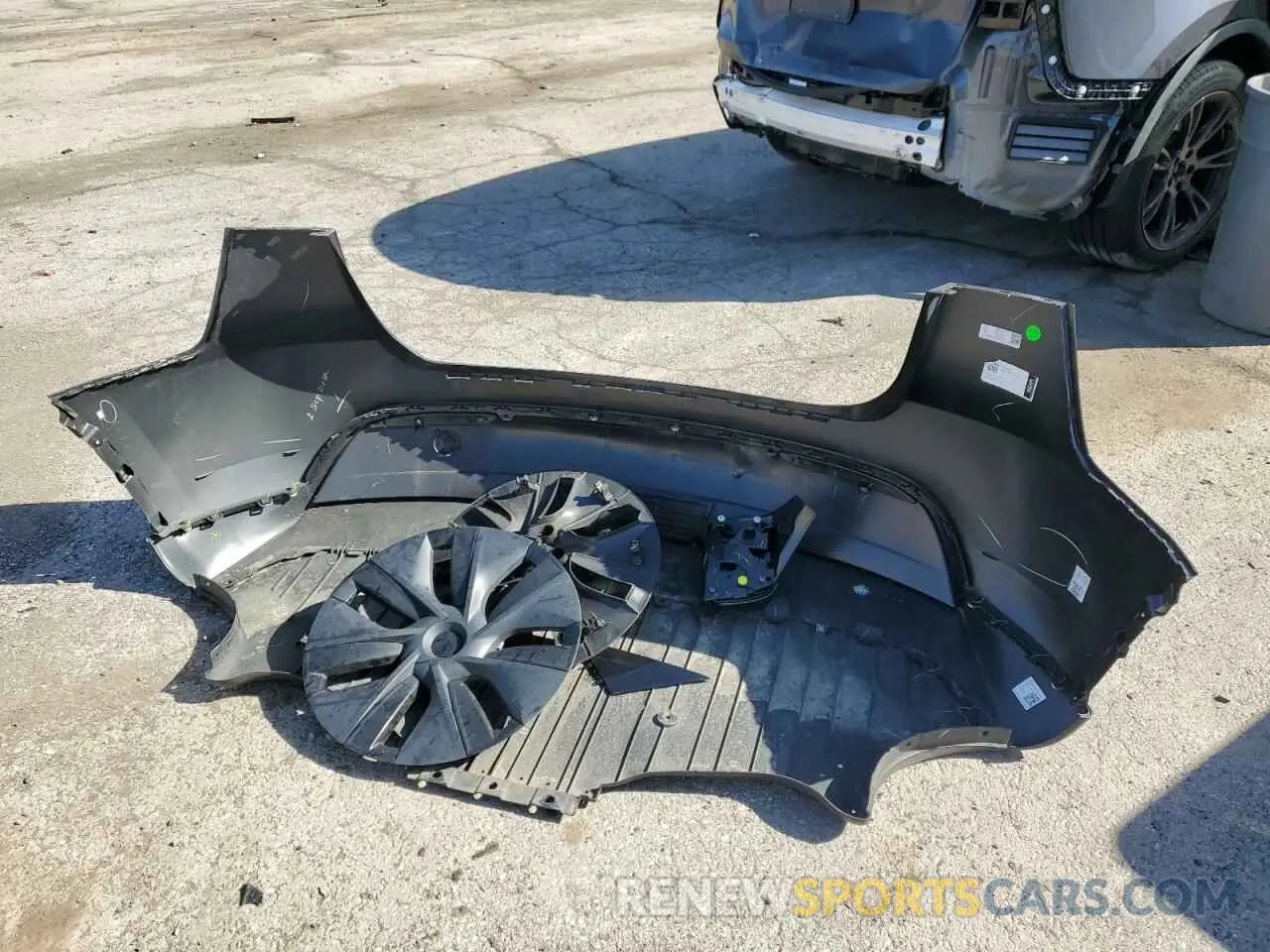 13 fotografías del automóvil dañado 7SAYGDED3RF198205 TESLA MODEL Y 2024