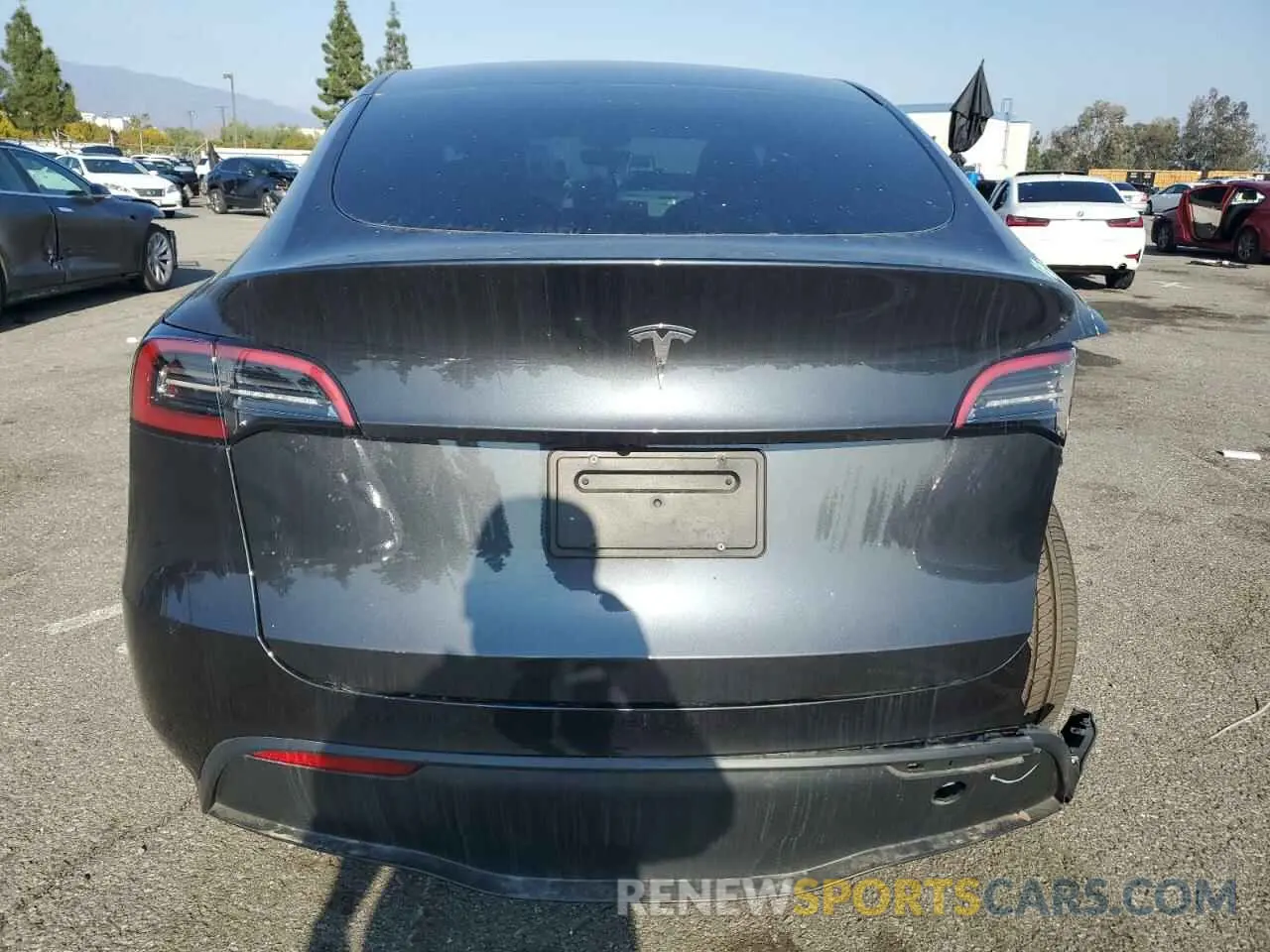 6 fotografías del automóvil dañado 7SAYGDED4RF032615 TESLA MODEL Y 2024