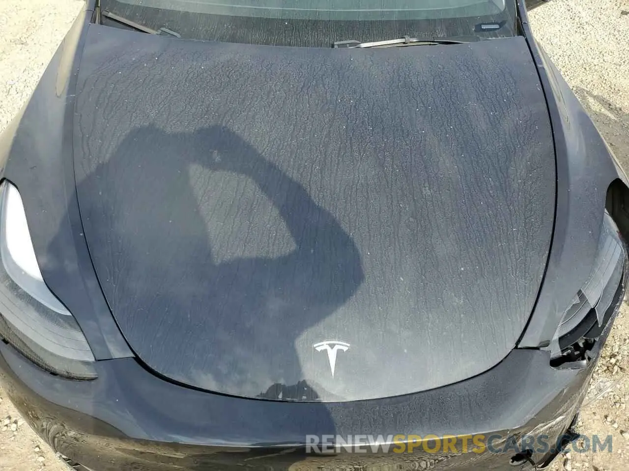 12 fotografías del automóvil dañado 7SAYGDED4RF049303 TESLA MODEL Y 2024