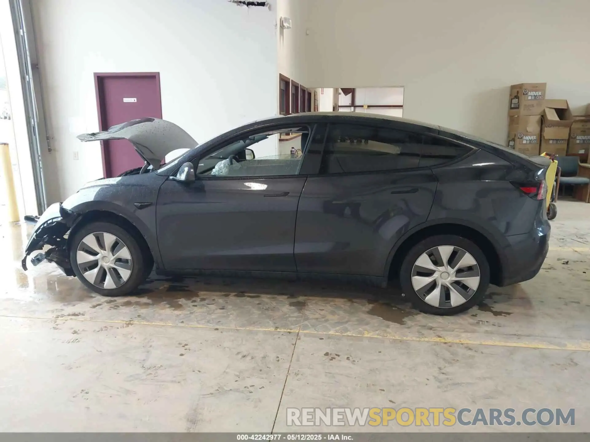 13 fotografías del automóvil dañado 7SAYGDED4RF072600 TESLA MODEL Y 2024