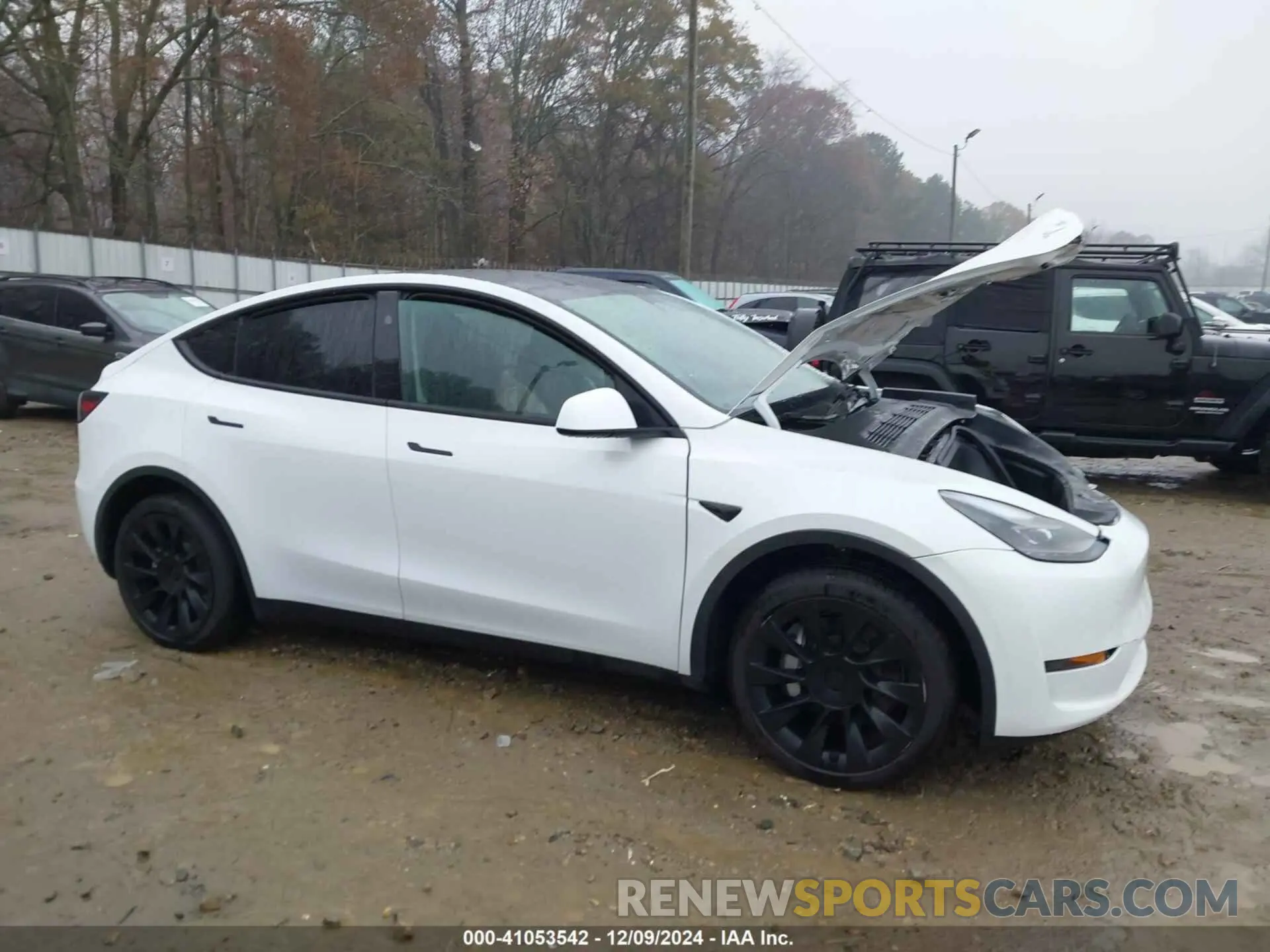 12 fotografías del automóvil dañado 7SAYGDED4RF101092 TESLA MODEL Y 2024
