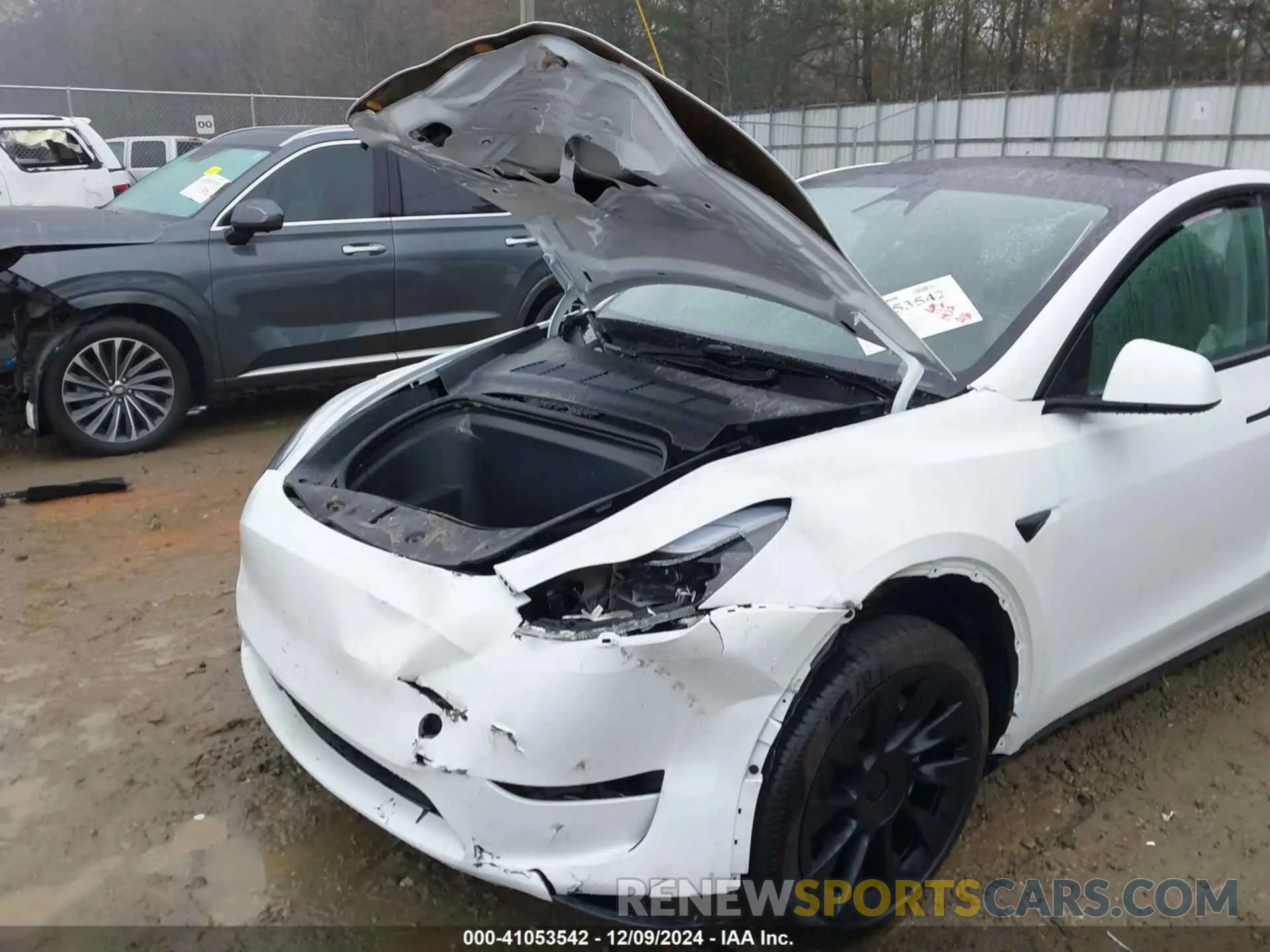 6 fotografías del automóvil dañado 7SAYGDED4RF101092 TESLA MODEL Y 2024