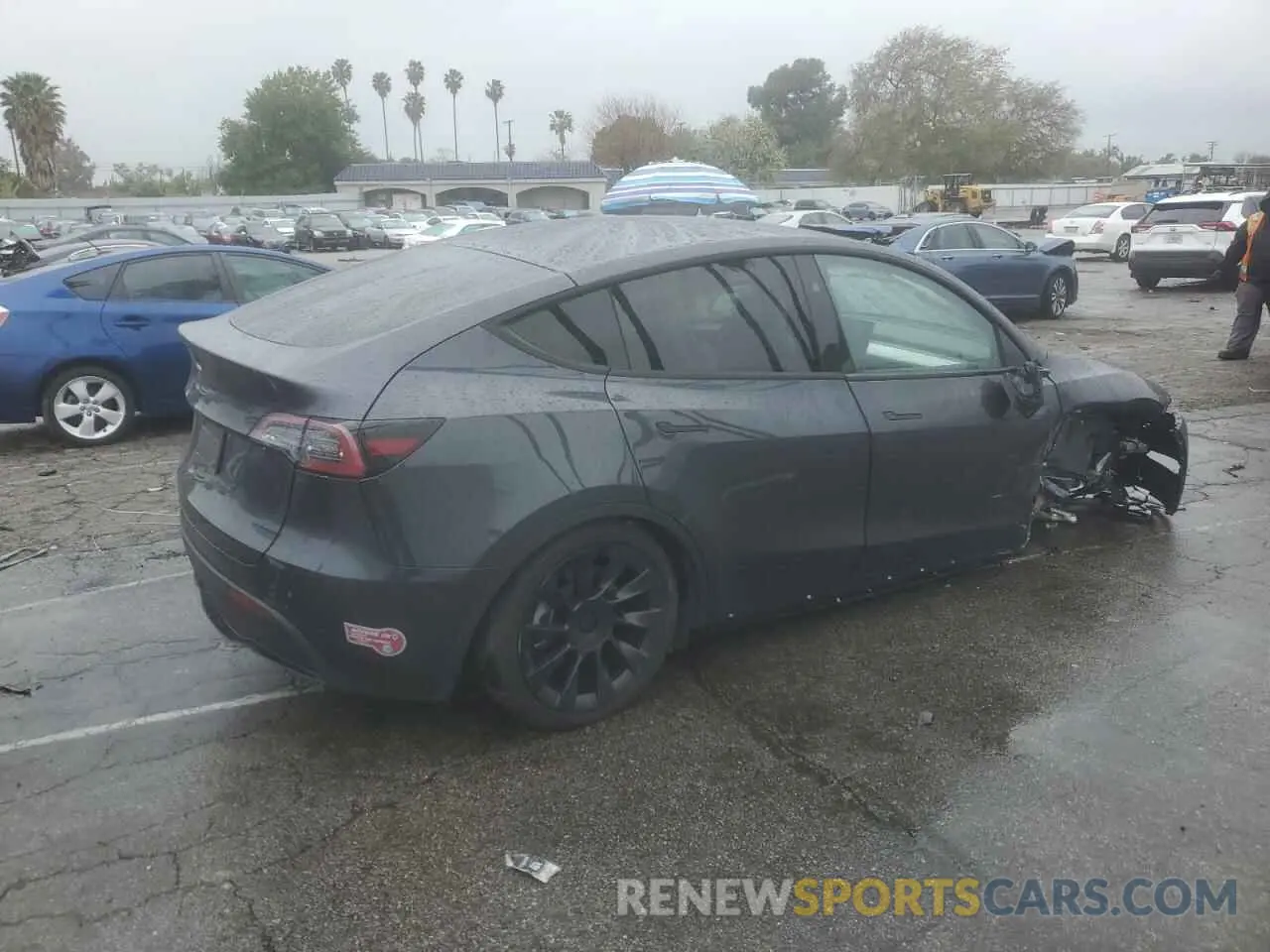 3 fotografías del automóvil dañado 7SAYGDED5RF054851 TESLA MODEL Y 2024