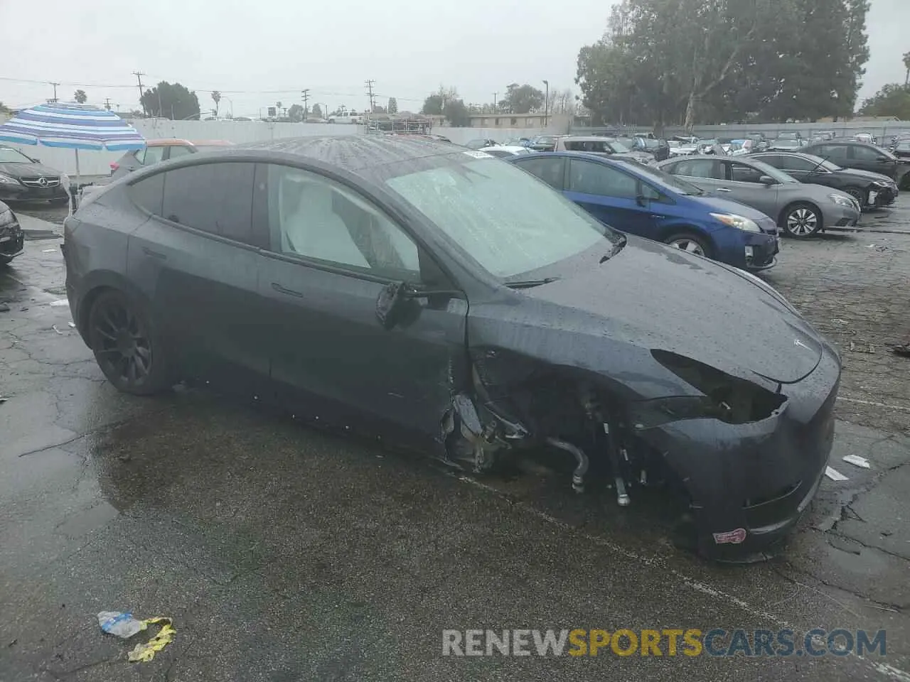 4 fotografías del automóvil dañado 7SAYGDED5RF054851 TESLA MODEL Y 2024