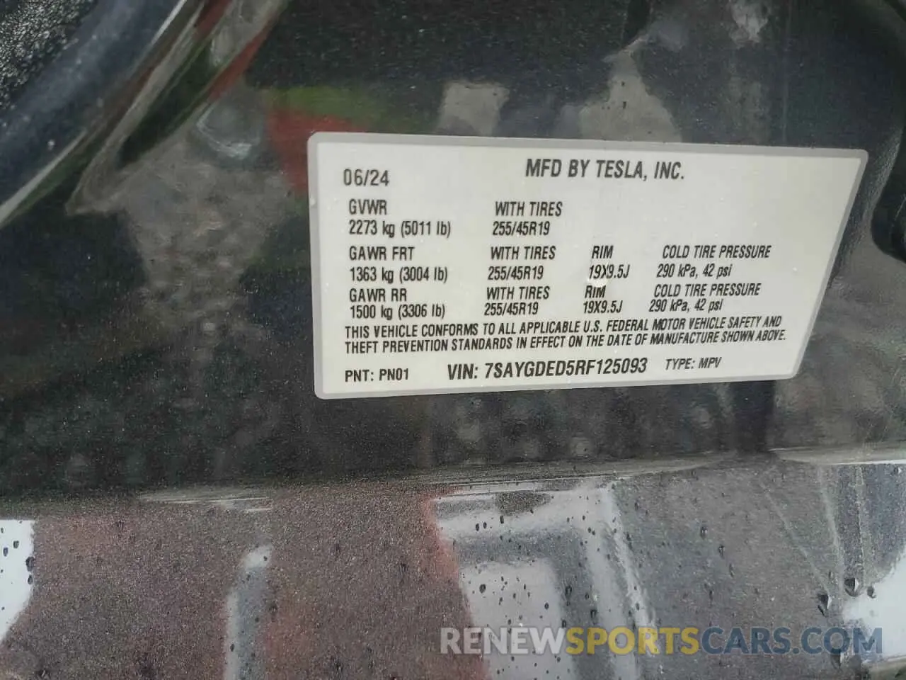 15 fotografías del automóvil dañado 7SAYGDED5RF125093 TESLA MODEL Y 2024