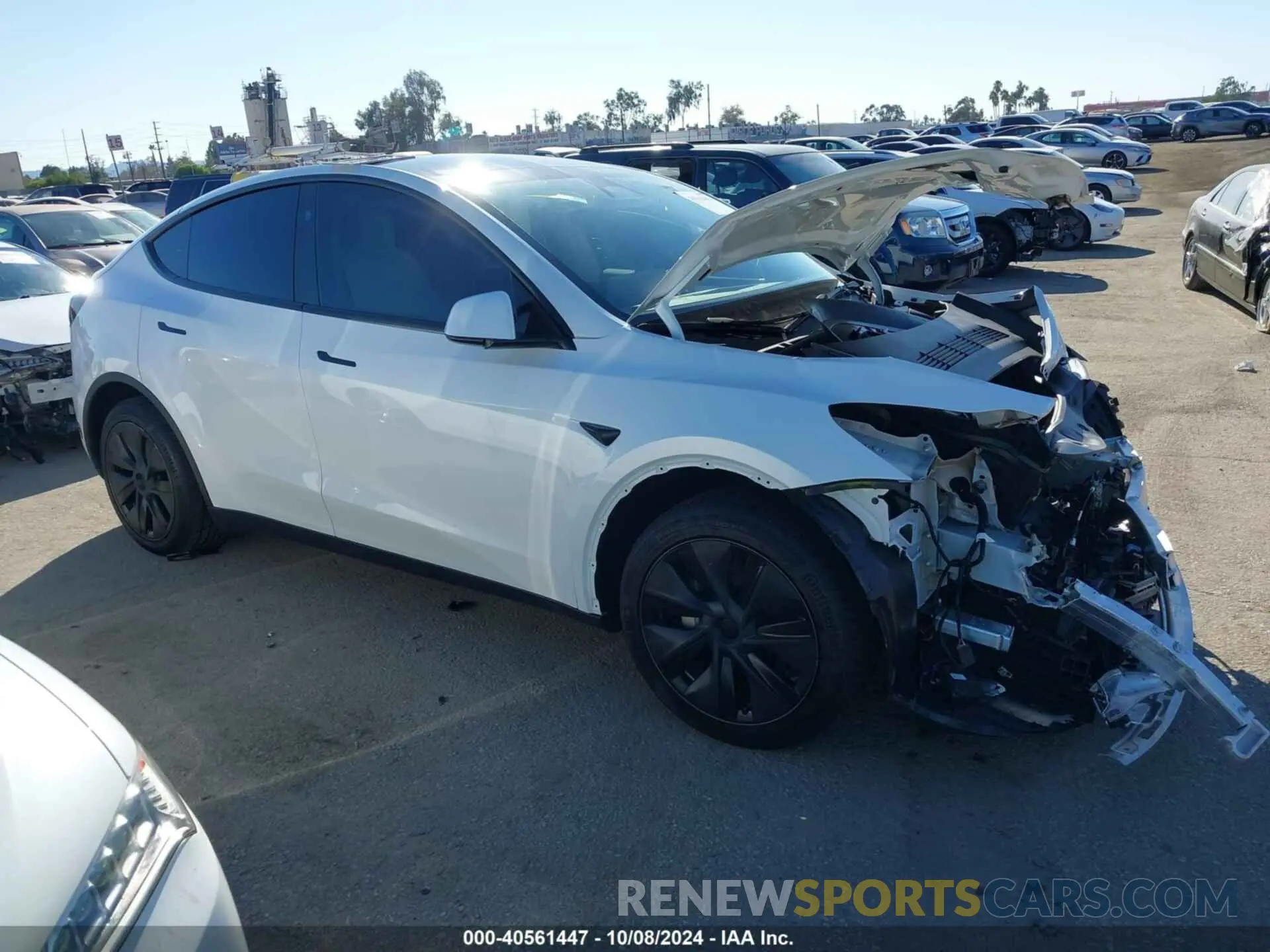 1 fotografías del automóvil dañado 7SAYGDED5RF154884 TESLA MODEL Y 2024