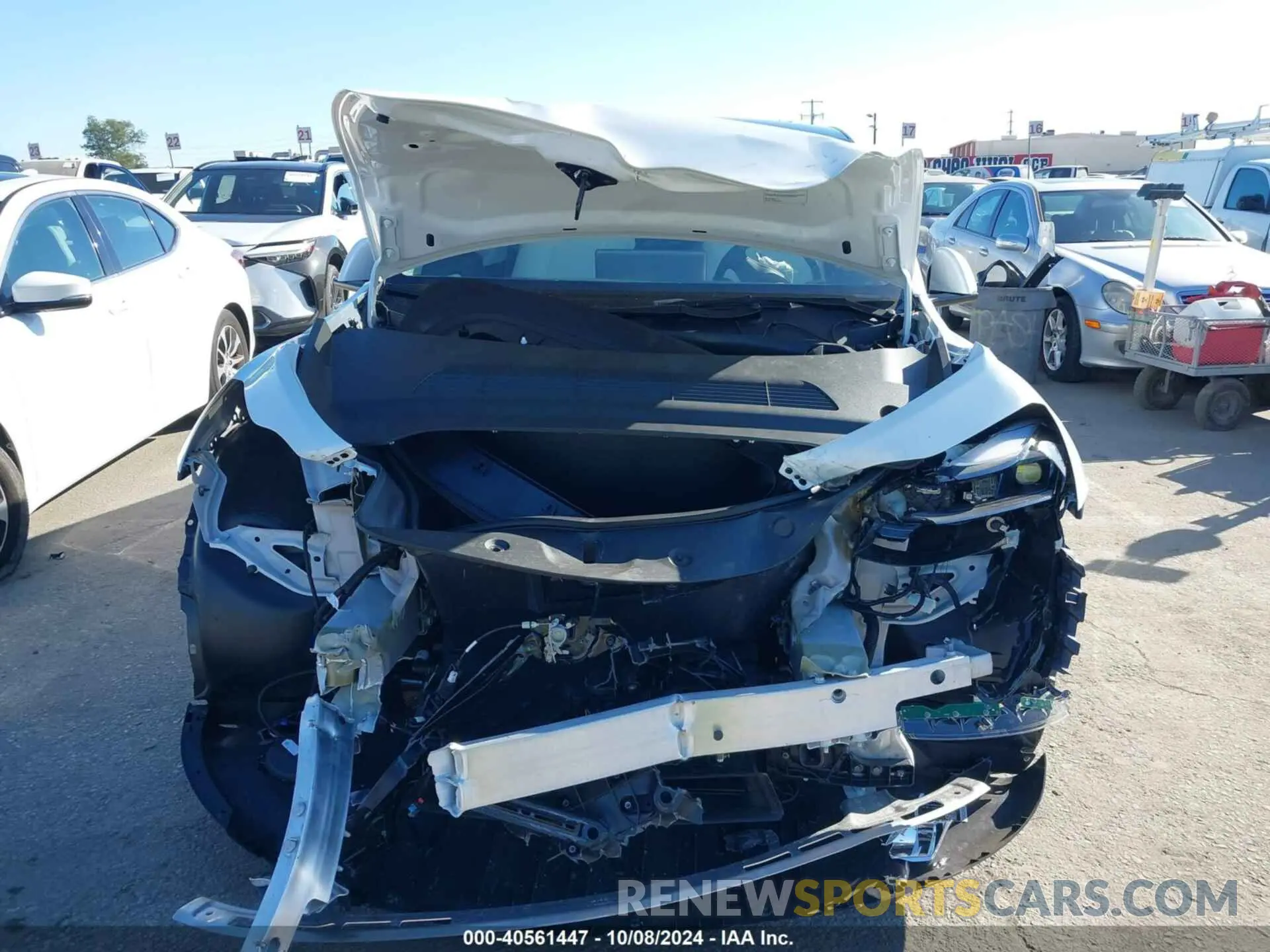 12 fotografías del automóvil dañado 7SAYGDED5RF154884 TESLA MODEL Y 2024
