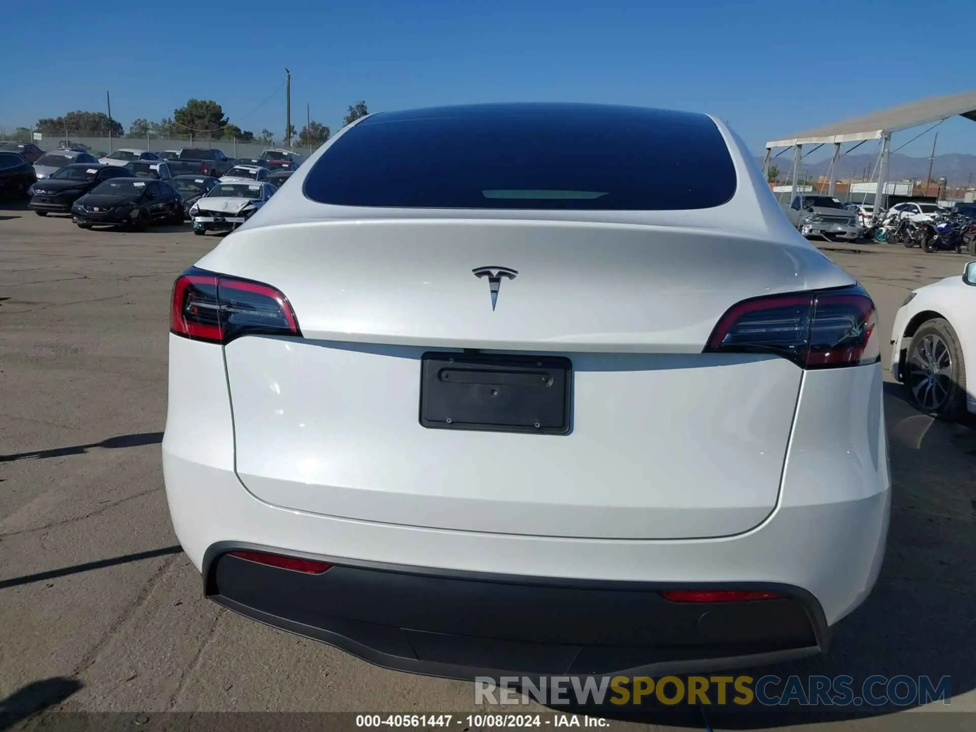 16 fotografías del automóvil dañado 7SAYGDED5RF154884 TESLA MODEL Y 2024