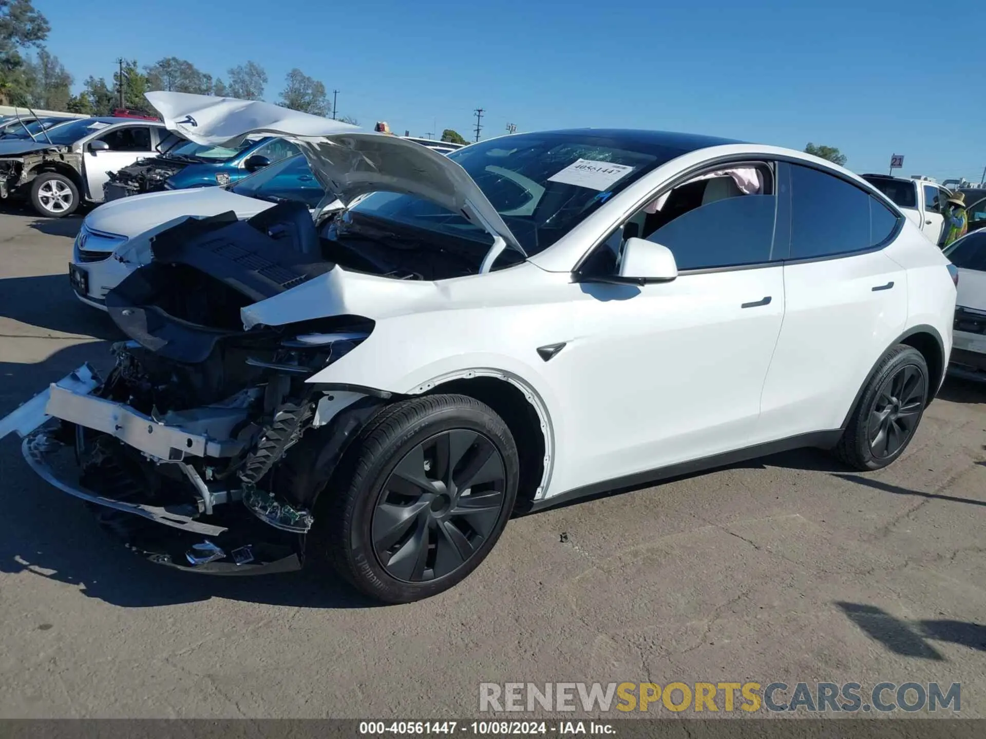 2 fotografías del automóvil dañado 7SAYGDED5RF154884 TESLA MODEL Y 2024