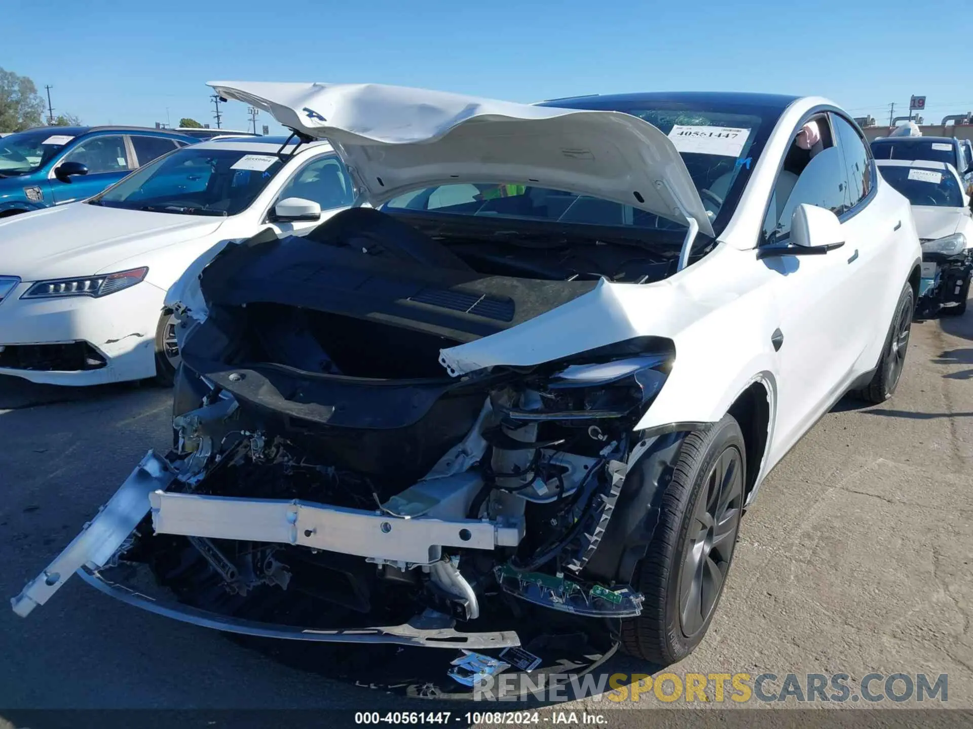6 fotografías del automóvil dañado 7SAYGDED5RF154884 TESLA MODEL Y 2024