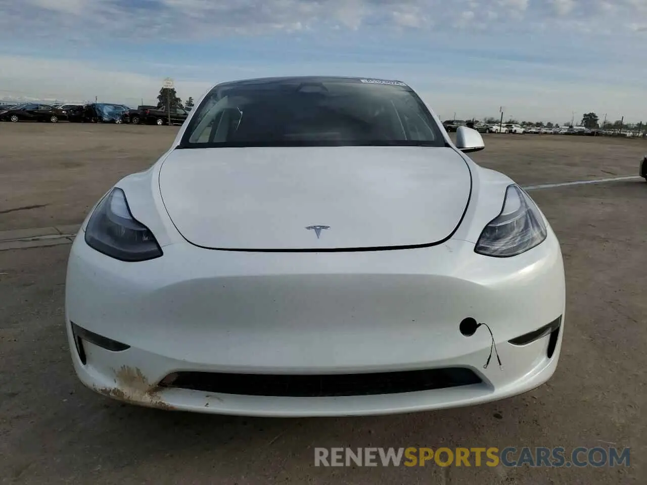 5 fotografías del automóvil dañado 7SAYGDED7RF026100 TESLA MODEL Y 2024
