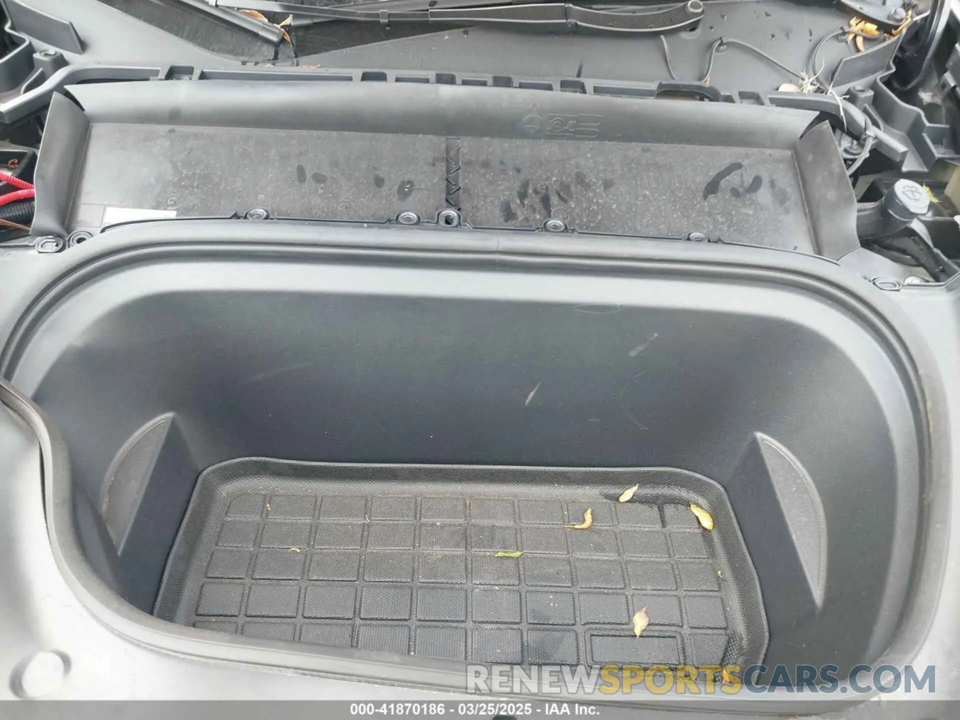 10 fotografías del automóvil dañado 7SAYGDED7RF095210 TESLA MODEL Y 2024